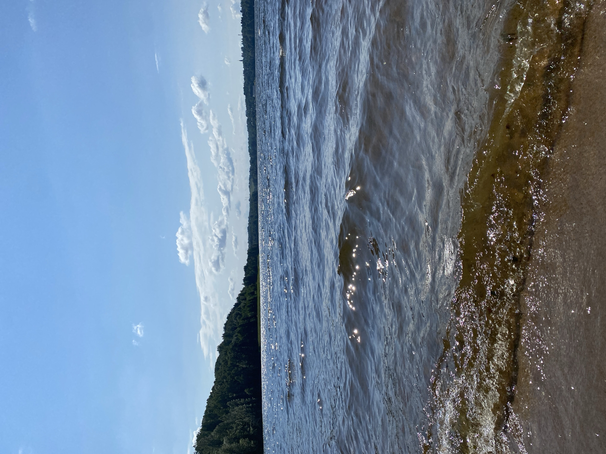 The image depicts a body of water, likely a lake, under a bright blue sky with scattered white clouds. The water is dark and shows ripples, with sunlight reflecting off its surface in numerous points of light. The foreground is a sandy shoreline where a small wave is breaking, creating foam and churned-up sediment. In the background, a dense, dark green forest lines the opposite bank of the lake, extending into the distance. The horizon shows a distant, low-lying treeline and a faint structure, possibly a building with a spire, suggesting a settlement. The overall scene is one of natural landscape, likely a public recreational area. The location is identified as a lake in Toksovo, Russia. There are no people or animals visible in the image.