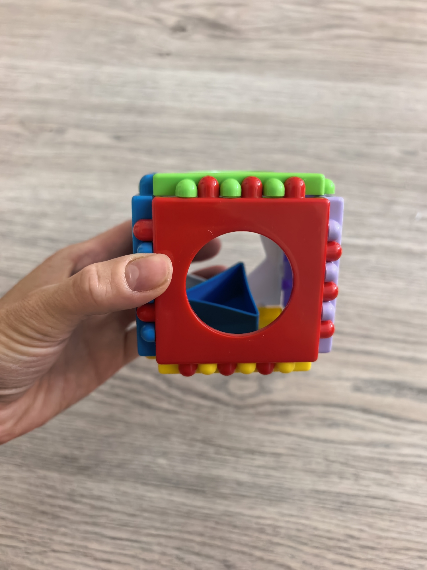 A hand holds a vibrant, multi-colored plastic cube toy against a light-toned wooden background. The hand is positioned on the left, fingers gently gripping the toy. The fingernails are short and unpolished.
The toy is a modular cube constructed from interlocking segments of bright red, blue, green, yellow, and purple plastic. Each segment is adorned with rounded studs or pegs, typical of building block construction, which connect the various colored pieces. The prominent red face of the cube features a large circular cut-out. Through this opening, a distinct blue triangular shape is visible inside the cube, suggesting it might be a component of a shape sorter or an inner block. Other colors, like a faint purple, are also visible through the toy's structure.
The background consists of a light brown and gray wooden surface, displaying a clear wood grain pattern, indicating an indoor setting, likely a floor or tabletop. The lighting is bright and even, consistent with daytime conditions. The primary focus is on the hand and the toy, with the background slightly blurred. There is no visible text in the image. The scene depicts a playful object being held, possibly during a moment of play or display, in what appears to be a domestic environment in Sterlitamak, Russia.
