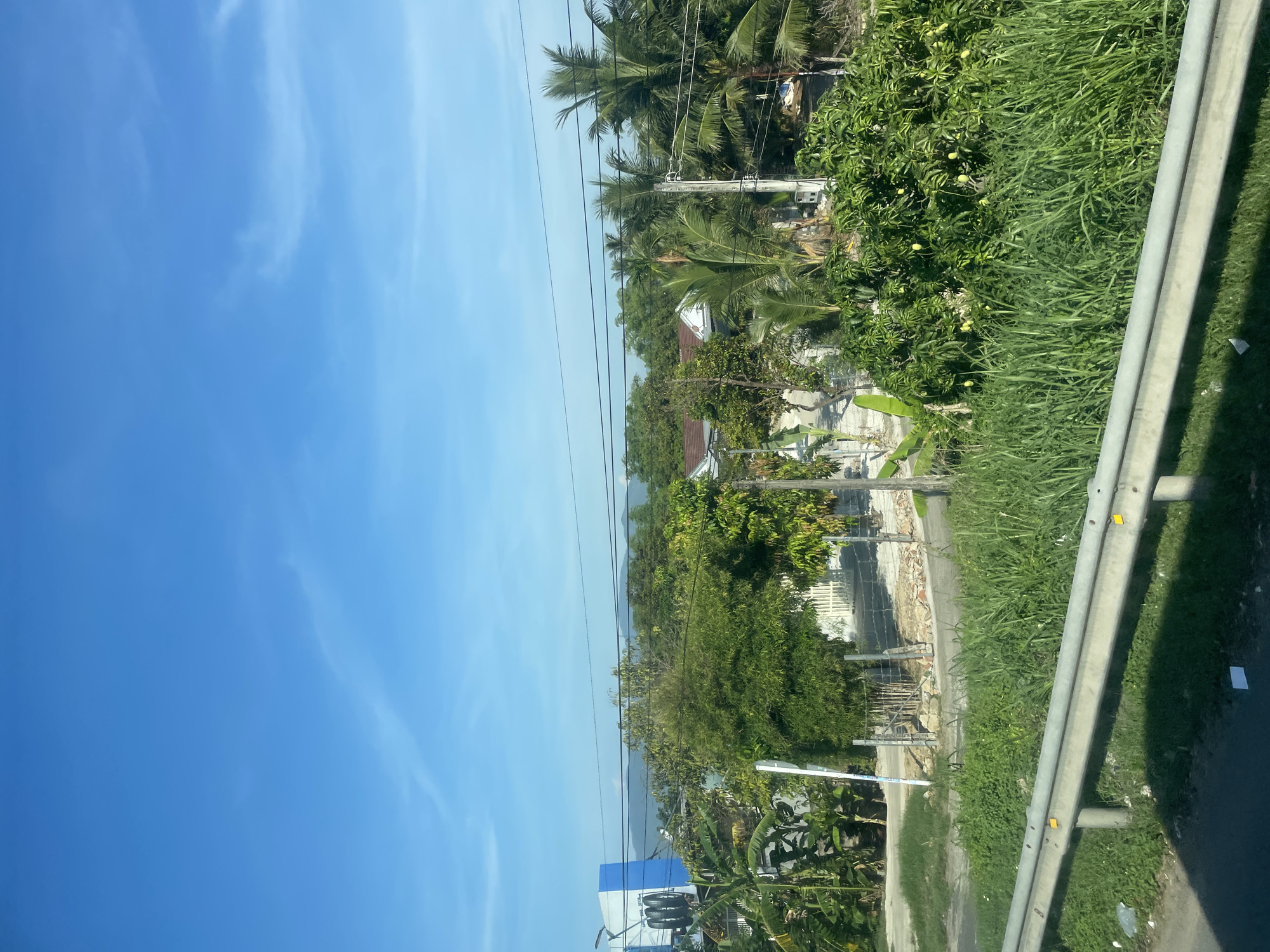 This is a landscape photograph taken from a moving vehicle, likely a bus or car, looking out at a roadside scene in Tay Nha Trang Ward, Vietnam. The foreground is dominated by a concrete guardrail with yellow reflective markers. Beyond the guardrail, tall green grass and some smaller plants are visible. In the midground, a variety of trees and vegetation are present, including banana trees, bamboo, and palm trees. There are also houses with red-tiled roofs and a white fence. A large blue and white building with an advertisement for tires is situated to the left. The background consists of a hazy distant landscape with mountains and a clear blue sky with wispy clouds. Power lines are strung across the scene, obscuring parts of the sky and trees. The lighting suggests it is daytime with bright sunlight.