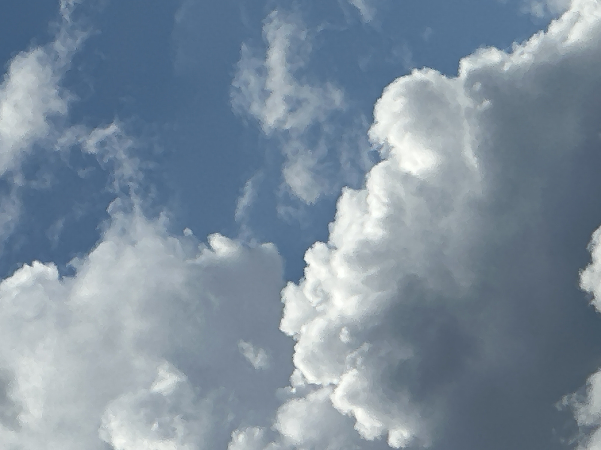The image captures a close-up view of a dynamic sky filled with an assortment of clouds against a vibrant blue backdrop. In the foreground, large, fluffy cumulus clouds dominate the lower half of the frame, showcasing bright white tops illuminated by sunlight and darker, shadowed undersides. These clouds have soft, rounded edges, creating a sense of depth and volume. To the upper left, a massive, billowy cloud formation occupies a significant portion of the sky, its texture appearing dense and textured, with subtle variations in light and shadow. Scattered throughout the sky are smaller, wispy clouds, some appearing as thin streaks and others as more defined puffs, adding complexity to the celestial landscape. The blue sky peeks through the gaps, providing a stark contrast to the white and gray hues of the clouds. The image is devoid of any urban elements or identifiable landmarks, suggesting an open-air environment without specific location details within a city. There are no people, objects, or actions depicted in the scene, focusing solely on the natural spectacle of the clouds and sky.