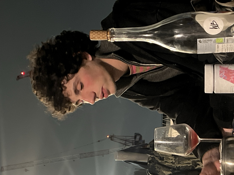 A person with curly hair sits at a table with a wine glass half-filled with red wine, an empty wine bottle with a cork, and a pill bottle. The individual is looking down with their eyes closed. A black hooded jacket is worn over a striped shirt. Cranes are visible in the background under a dusky sky.