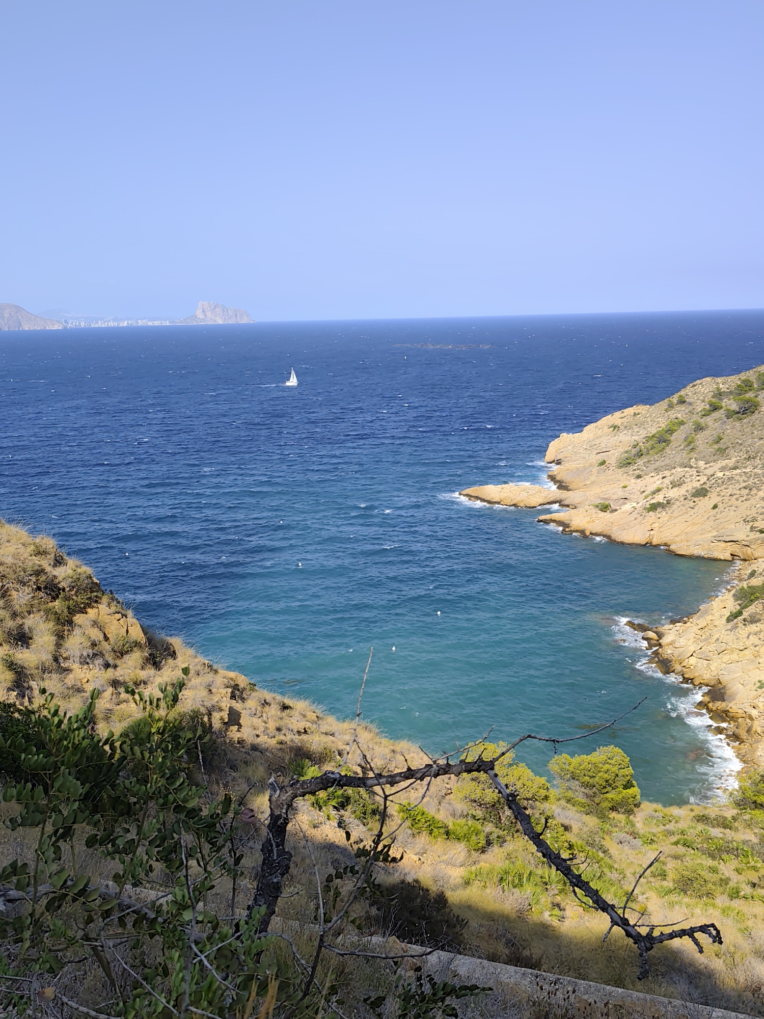 The image depicts a scenic view of the Mediterranean Sea from a clifftop vantage point in l'Alfàs del Pi, Spain. The foreground is dominated by dry, scrubby vegetation and a dead tree branch, casting shadows across the rocky terrain. The sea, a vibrant mix of deep blue and turquoise, stretches out towards the horizon. A lone white sailboat is visible in the distance. Along the coastline, rugged, tan-colored cliffs descend to the water. In the far distance, a hazy, mountainous landmass with buildings can be seen on the left side of the frame, possibly indicating a coastal town or city. The sky is clear and bright blue, suggesting a sunny day. The overall scene conveys a sense of natural beauty and tranquility.