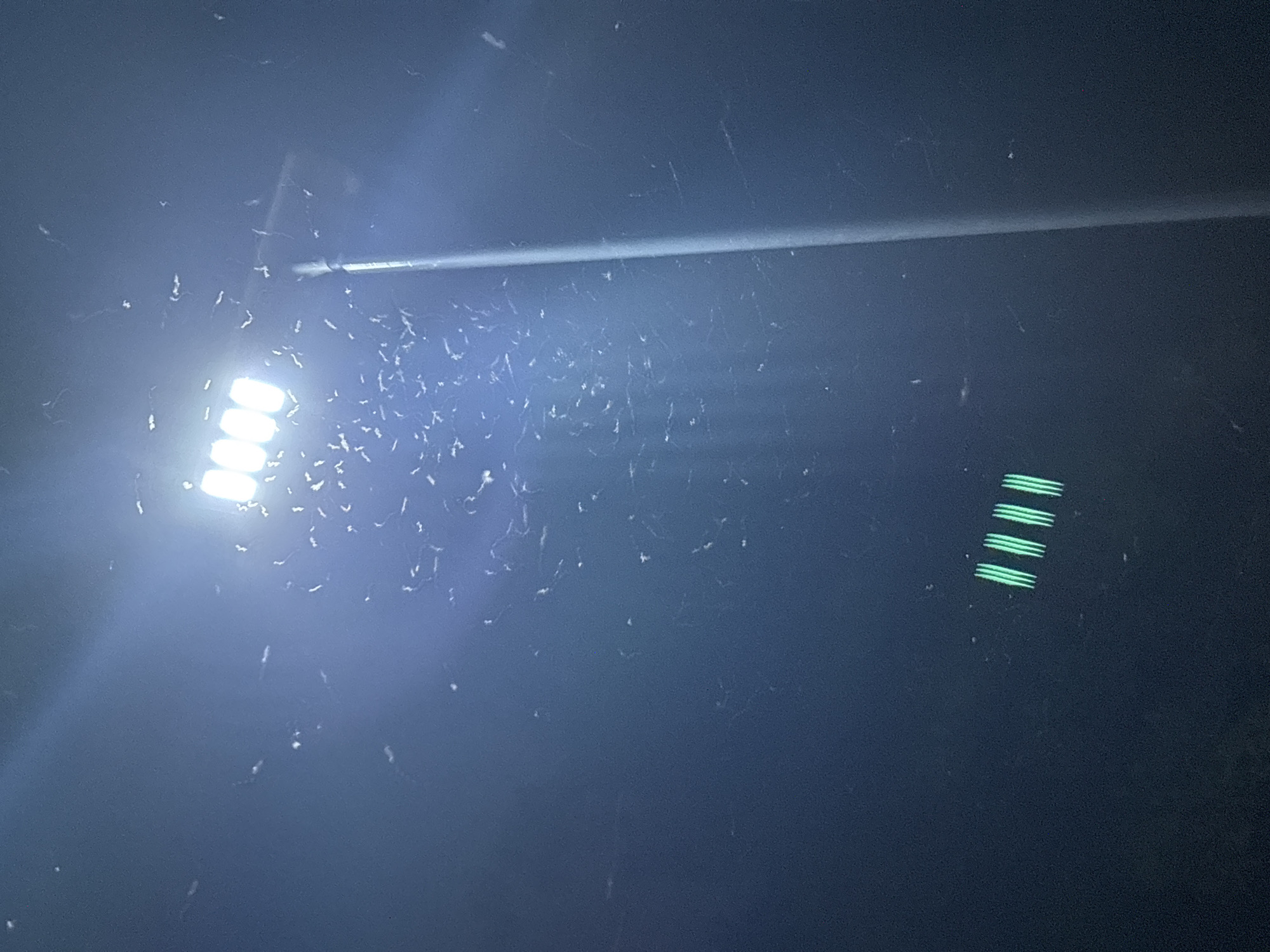 The scene is captured at night in the city of Barakin Lerawi, Nigeria. A street light with five individual rectangular LED light sources emits bright white illumination from the upper right quadrant of the frame. Numerous small, light-colored, elongated and curved forms, consistent with flying insects, are visible in motion around the light source, illuminated against the dark blue-black sky. The light is mounted on a vertical pole, the upper section of which is visible in the right mid-ground. In the lower-central portion of the image, four distinct, parallel, vertical bright green lines are present, indicating a reflection or light source within the immediate environment. No human subjects are present.