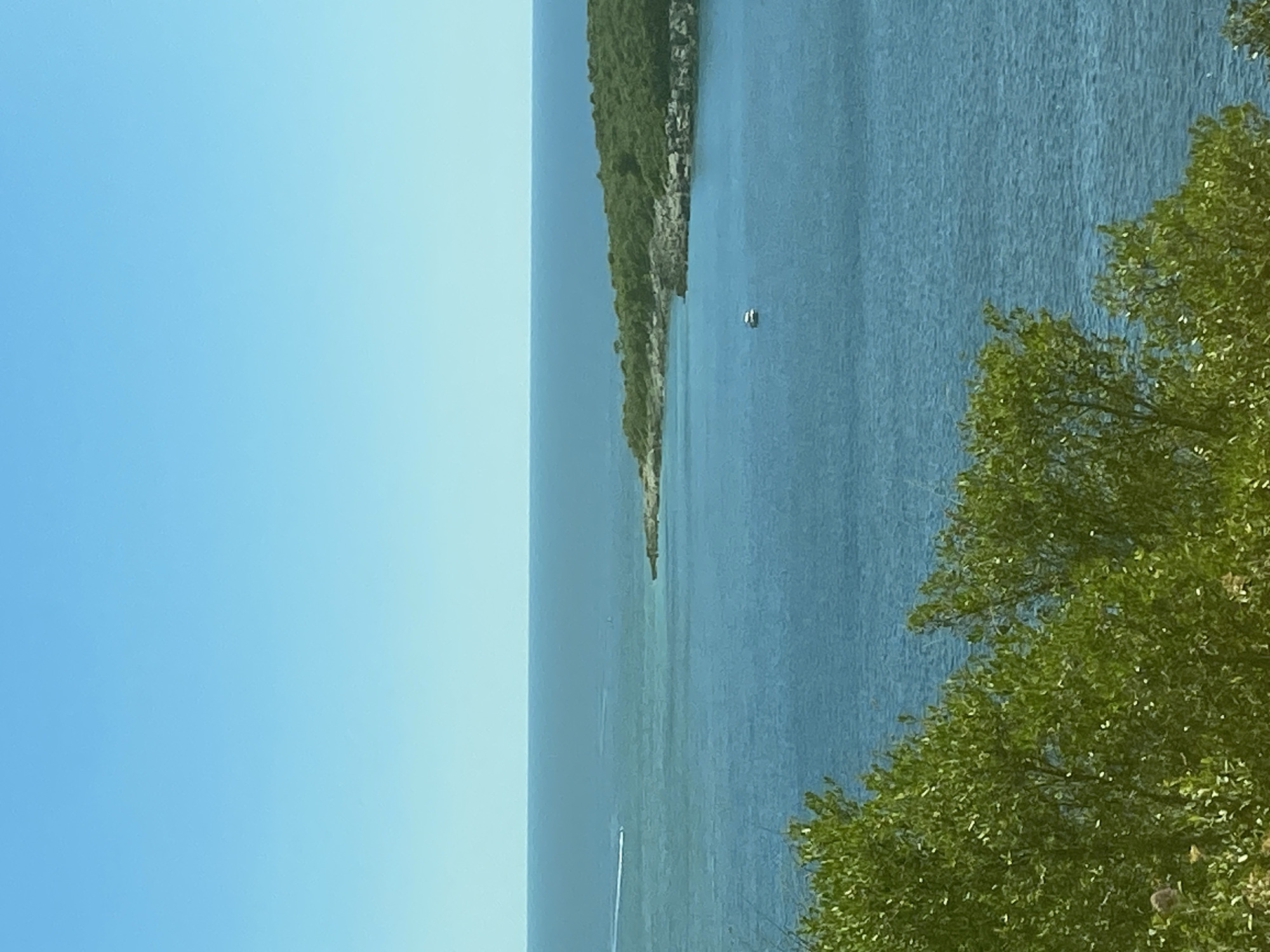 The image captures a serene coastal landscape, likely in or near Dubraljevina, Montenegro, under a clear, bright blue sky. The foreground is dominated by lush green foliage, suggesting a hillside vantage point.
The midground features a vast expanse of tranquil, deep blue water, reflecting the sky. Several boats are visible: a speed boat leaves a white wake in the distance on the left, and a smaller white boat is stationary in the middle of the water, closer to the shore.
The background showcases a verdant, tree-covered peninsula with rocky outcrops extending into the sea. The distant horizon line is sharply defined, separating the water from the sky. The overall scene is one of natural beauty and peacefulness.