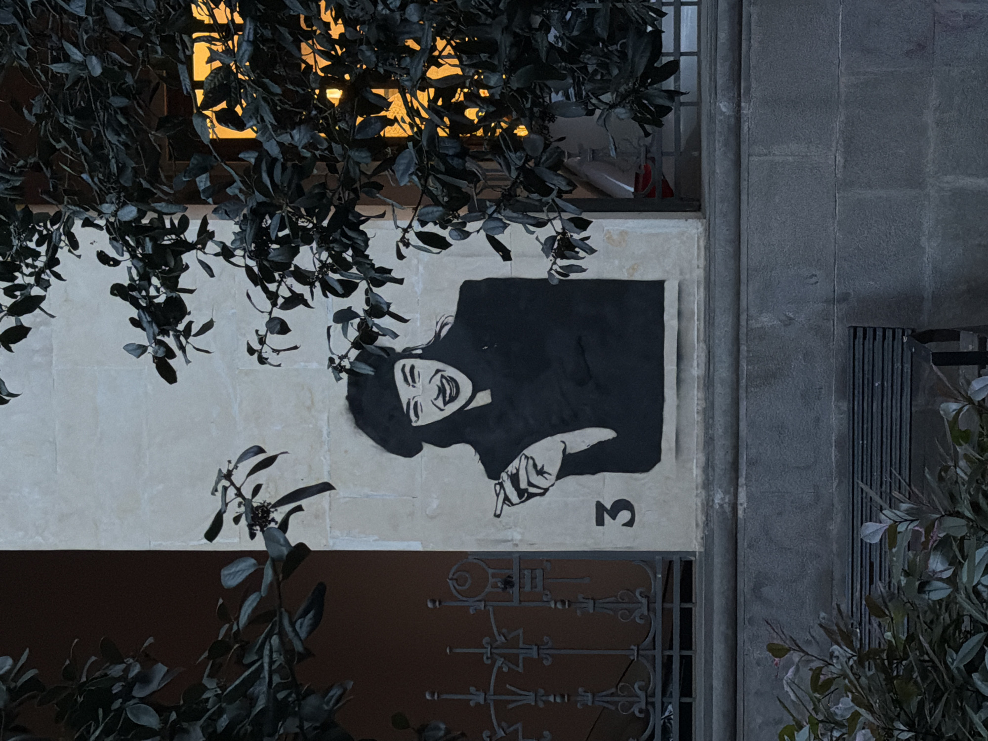 A street scene in Tbilisi, Georgia, presents a wall featuring a mural of a woman. The mural depicts a smiling woman with dark hair, wearing a hat, holding a cigarette, and pointing downwards. The number "3" is painted below the mural. Overhanging foliage frames the top and left side of the scene, with more foliage on the right. An ornate wrought-iron gate is visible below the mural. The window above is emitting a soft yellow glow, creating contrast to the predominantly dark scene. The surrounding architecture appears to be stone.