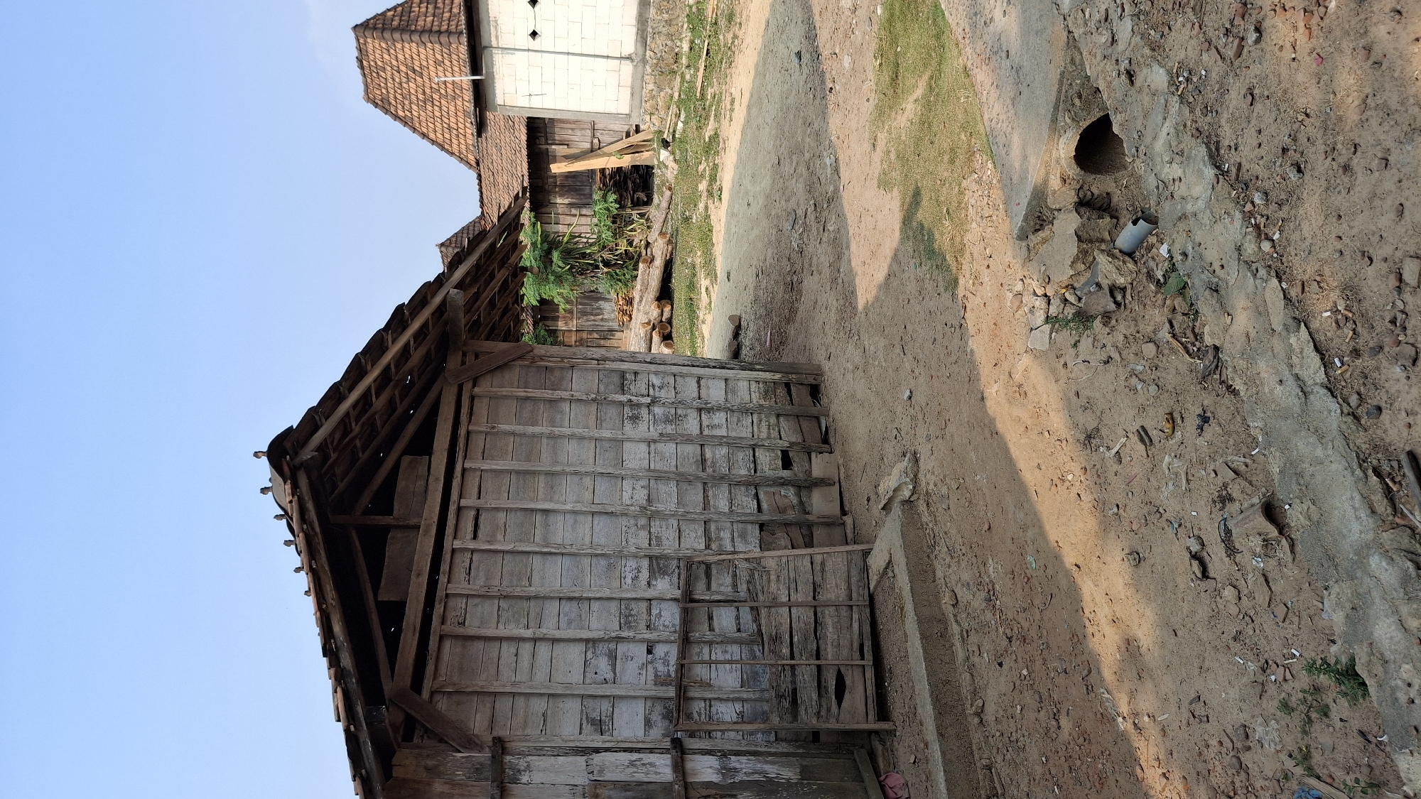 The image depicts an outdoor scene in Pucakwangi, Indonesia, characterized by a rustic, partially constructed environment. In the foreground, a dirt path is visible, littered with debris including small stones, broken pieces of concrete, and what appear to be cigarette butts. A concrete drainage channel runs across the path, with a broken opening and a visible pipe.
Dominating the left side of the image is a dilapidated wooden structure. Its walls are constructed from weathered, vertical wooden planks, some of which are missing or damaged, revealing the interior framing. The roof is made of corrugated metal sheeting, supported by wooden beams, and is in a state of disrepair, with some tiles missing. A simple wooden frame leans against the front of this structure.
In the background, further wooden structures are visible, also with tiled roofs, suggesting a collection of buildings or dwellings. To the right, a white-walled building with a traditional tiled roof stands out. Piles of logs and stacked lumber are present in the middle ground, indicating ongoing construction or resource storage. Lush green foliage can be seen behind these materials. The sky above is a clear, pale blue, with no clouds present. The lighting suggests it is daytime, with shadows cast on the ground by the structures.