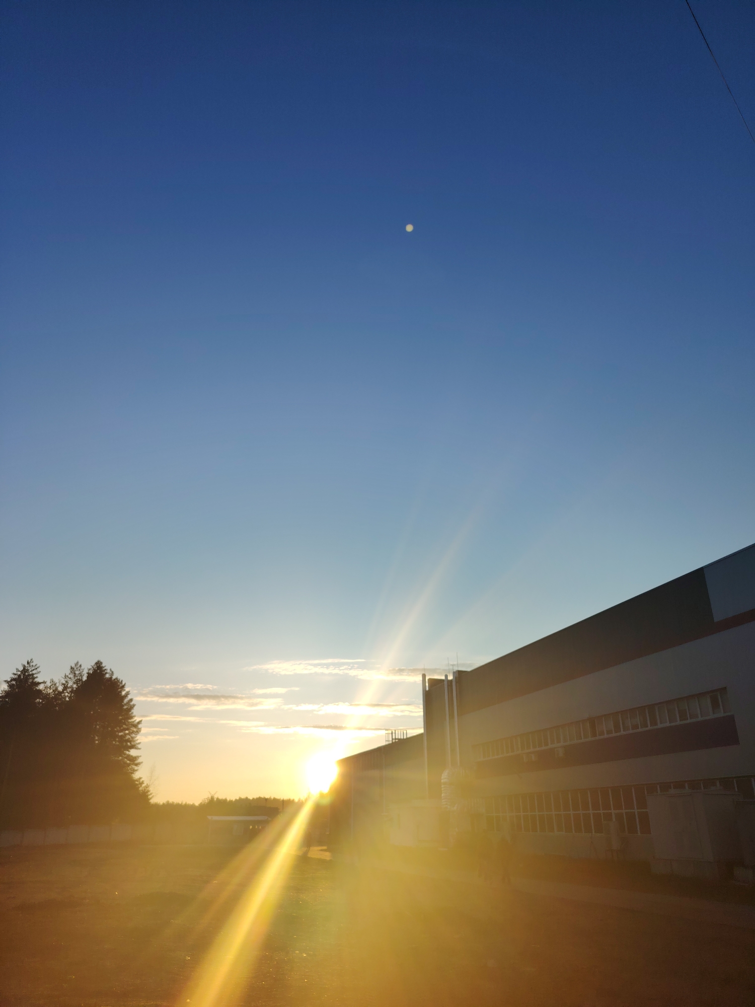 The image captures an outdoor scene at either sunrise or sunset, characterized by prominent golden sunbeams emanating from the left side of the frame. The sky transitions from a deep, clear blue at the top to a lighter, more diffused hue near the horizon, with a few small, wispy clouds visible in the distance. High in the deep blue sky, a small, bright, circular object, likely the moon, is visible.
In the foreground and midground on the left, a dense cluster of dark evergreen trees stands silhouetted against the bright light. The ground appears to be unpaved earth or dirt, illuminated by the strong, warm light. On the right side, a large, modern industrial building or warehouse occupies a significant portion of the frame. The building features dark grey/blue upper sections and lighter grey/white lower sections, with multiple rows of elongated rectangular windows. The side of the building facing the sun is partially illuminated by the strong light, while other parts are in shadow. A faint power line or wire can be seen extending diagonally across the upper right portion of the sky.
The scene appears devoid of people or specific activity, focusing on the interplay between natural light and man-made structures at the edge of what might be an industrial or commercial area near a forested landscape, consistent with the Noviy, Russia context. The overall impression is one of peaceful twilight or dawn, with a clear sky and notable lens flare from the low-hanging sun. There is no visible text.