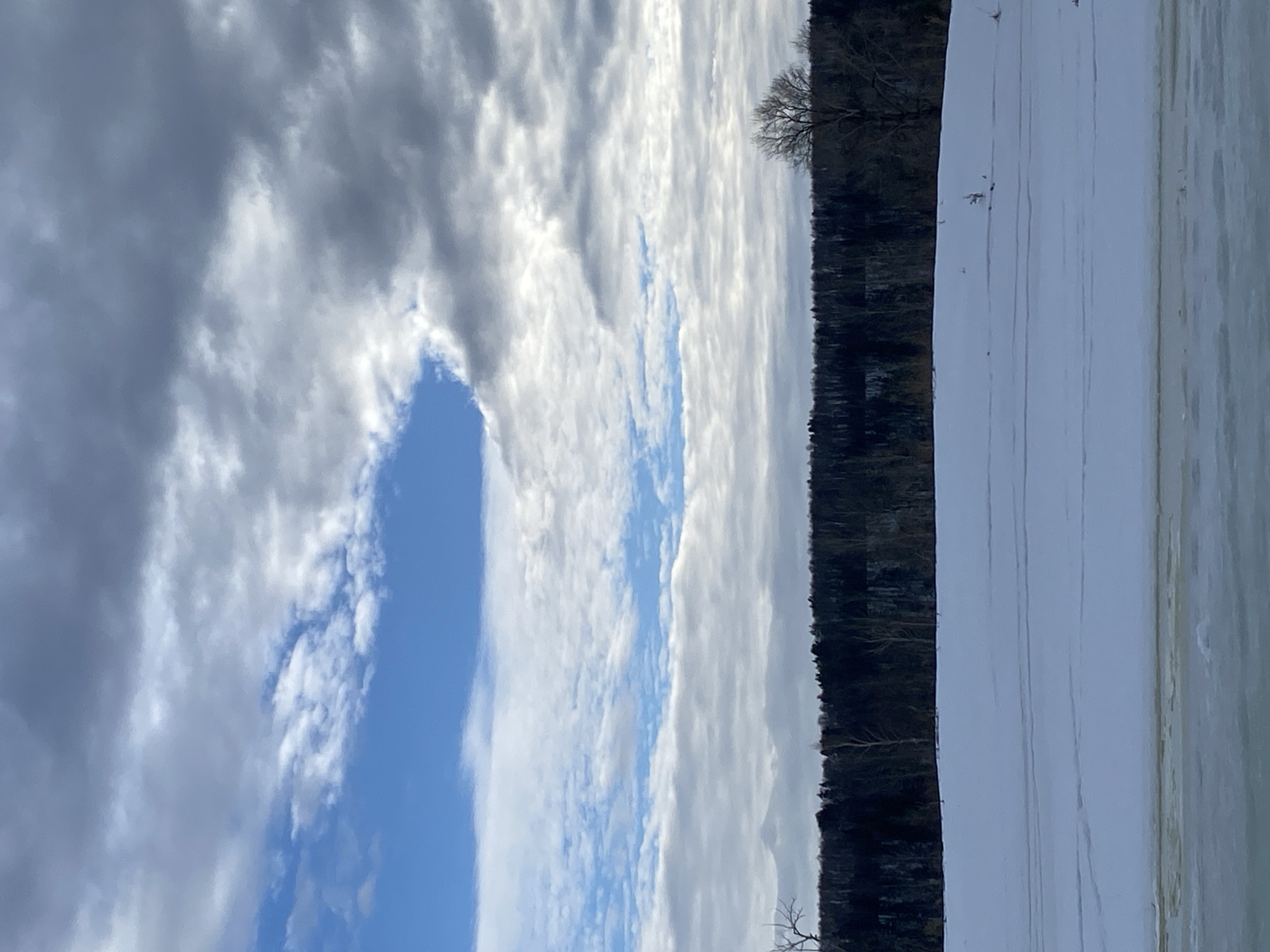 The scene depicts a winter landscape in Ольховка, Russia, under a partly cloudy sky. The upper half of the image features a sky composed of scattered white and light grey stratocumulus clouds, with a prominent horizontal band of clear blue sky visible in the upper-left quadrant and smaller patches elsewhere. Darker grey clouds are present on the far right. Below the sky, a dense, dark forest line, likely consisting of evergreen and bare deciduous trees, stretches across the horizon. In the mid-ground, a flat expanse of snow-covered ground is visible, exhibiting faint linear depressions or tracks on its surface, along with sparse, small, dark vegetative growth. The immediate foreground shows a body of water covered in light greenish-blue ice, with a distinct horizontal band of yellowish-brown material or discoloration at the interface between the ice and the snow-covered ground. No individuals, animals, or man-made structures are present.