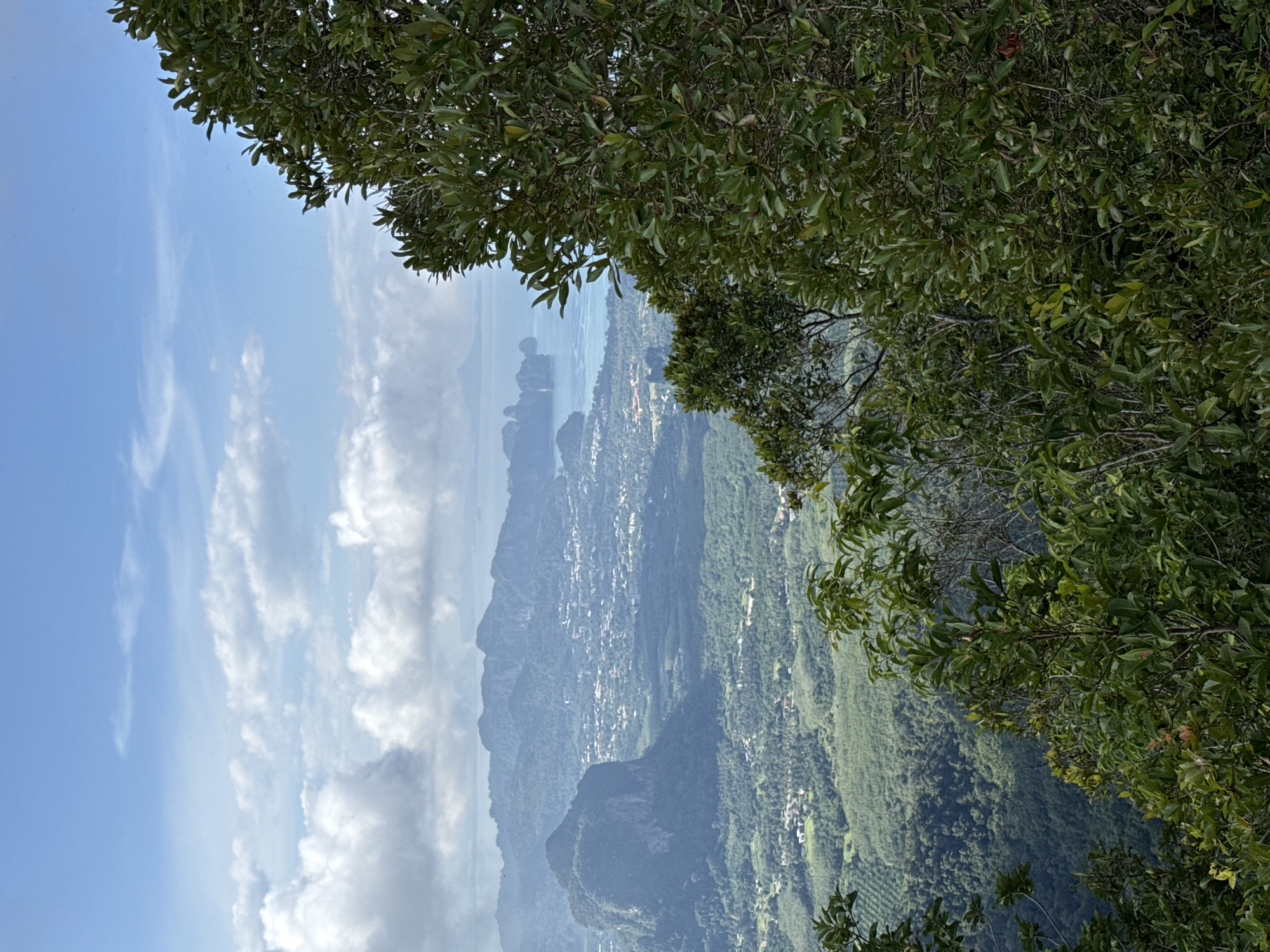 The image is a landscape photograph taken from a high vantage point, looking out over a scenic vista in Ban Din Daeng Nui, Thailand. In the foreground, dense green foliage of trees partially obscures the view, with their leaves and branches filling the right and bottom portions of the frame. Beyond the foliage, a sprawling town or city is visible in the middle ground, nestled among rolling green hills. The architecture of the town appears to be a mix of buildings with red and beige rooftops. Further in the distance, a body of water, likely the Andaman Sea, stretches towards the horizon, dotted with distinctive limestone karsts, a signature geological feature of the region. The sea is a calm blue, meeting the hazy sky at the horizon line. The sky above is a pale blue, with scattered white clouds, some appearing fluffy and others more wispy. The overall impression is a panoramic view of a tropical coastal town, characterized by lush vegetation, mountainous terrain, and a tranquil sea under a partly cloudy sky.