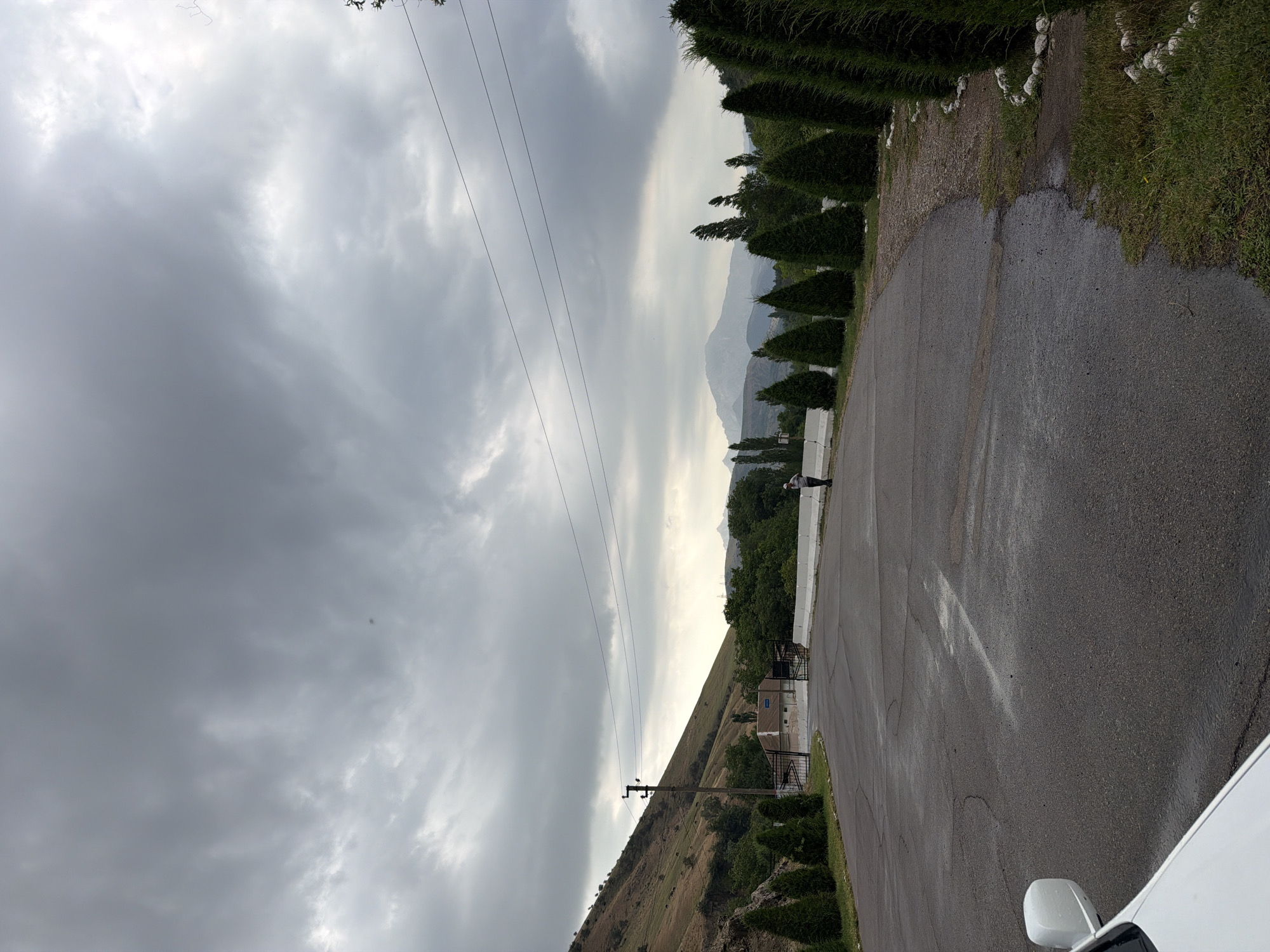 In Khumsan, Uzbekistan, on a cloudy day, a paved road curves through a landscape with a steep, grassy hillside to the left and dense green trees on the right. A row of conical evergreen trees lines the right side of the road, with white decorative stones forming a border. In the distance, mountains are visible under the overcast sky, which features thick, grey clouds. A small building with a blue sign and black metal gates stands near the base of the hill. A single individual, wearing a light-colored cap and dark clothing, stands on the right side of the road, facing away from the camera. Power lines are strung across the upper portion of the image. A portion of a white vehicle is visible in the lower-left corner. The road surface appears wet and exhibits some cracks.