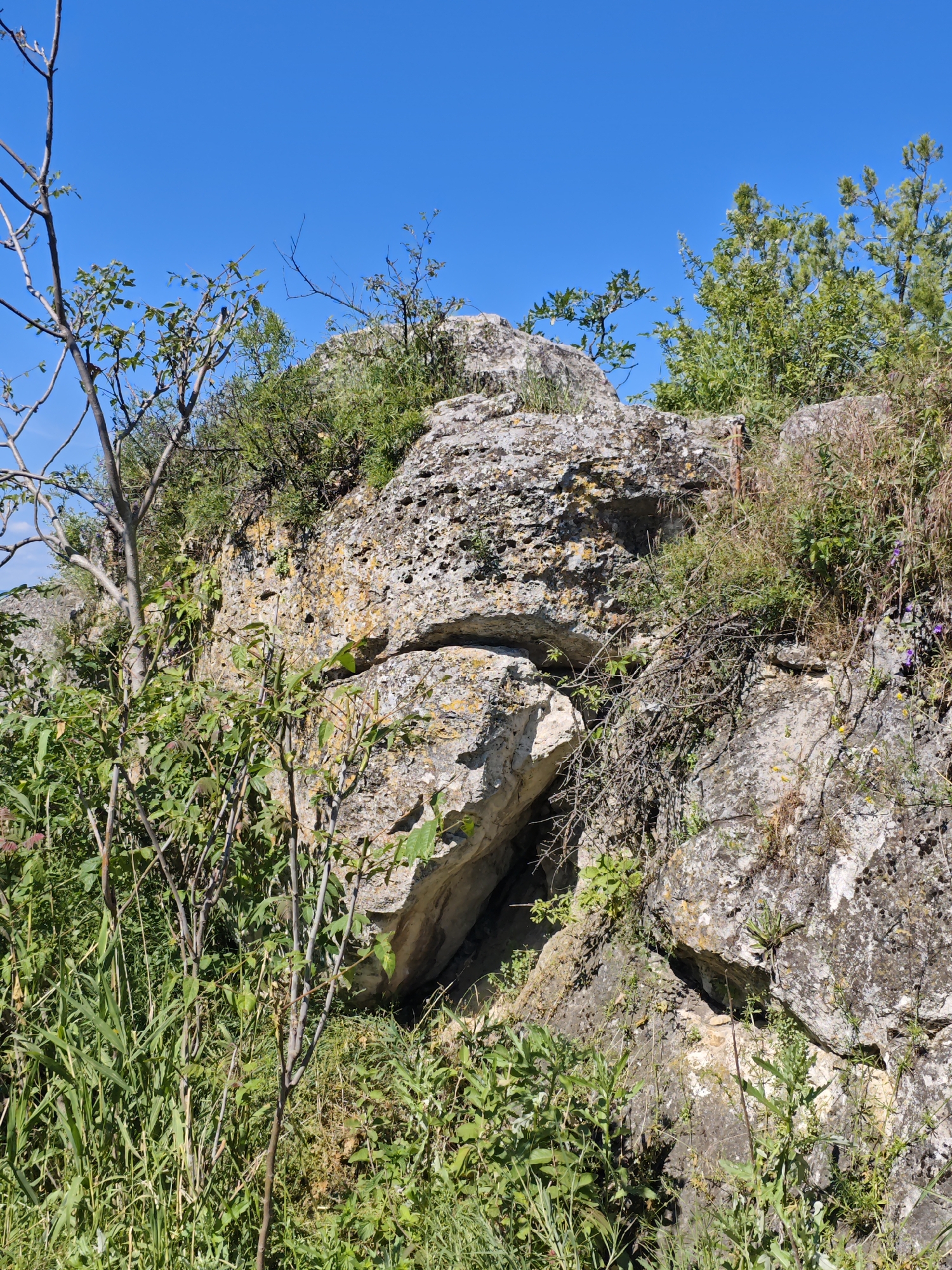 The image shows a rocky outcrop with sparse vegetation under a clear blue sky. The rocks are rough and textured, with some patches of yellow and orange lichen. Green plants, including grasses and small bushes, grow around and on top of the rocks. A few bare branches of a tree are visible on the left side of the frame. The scene appears to be in a natural, undeveloped area. The provided context mentions the city of Goryachevodsky, Russia, suggesting the location is within or near this city. There are no people or visible structures in the image.