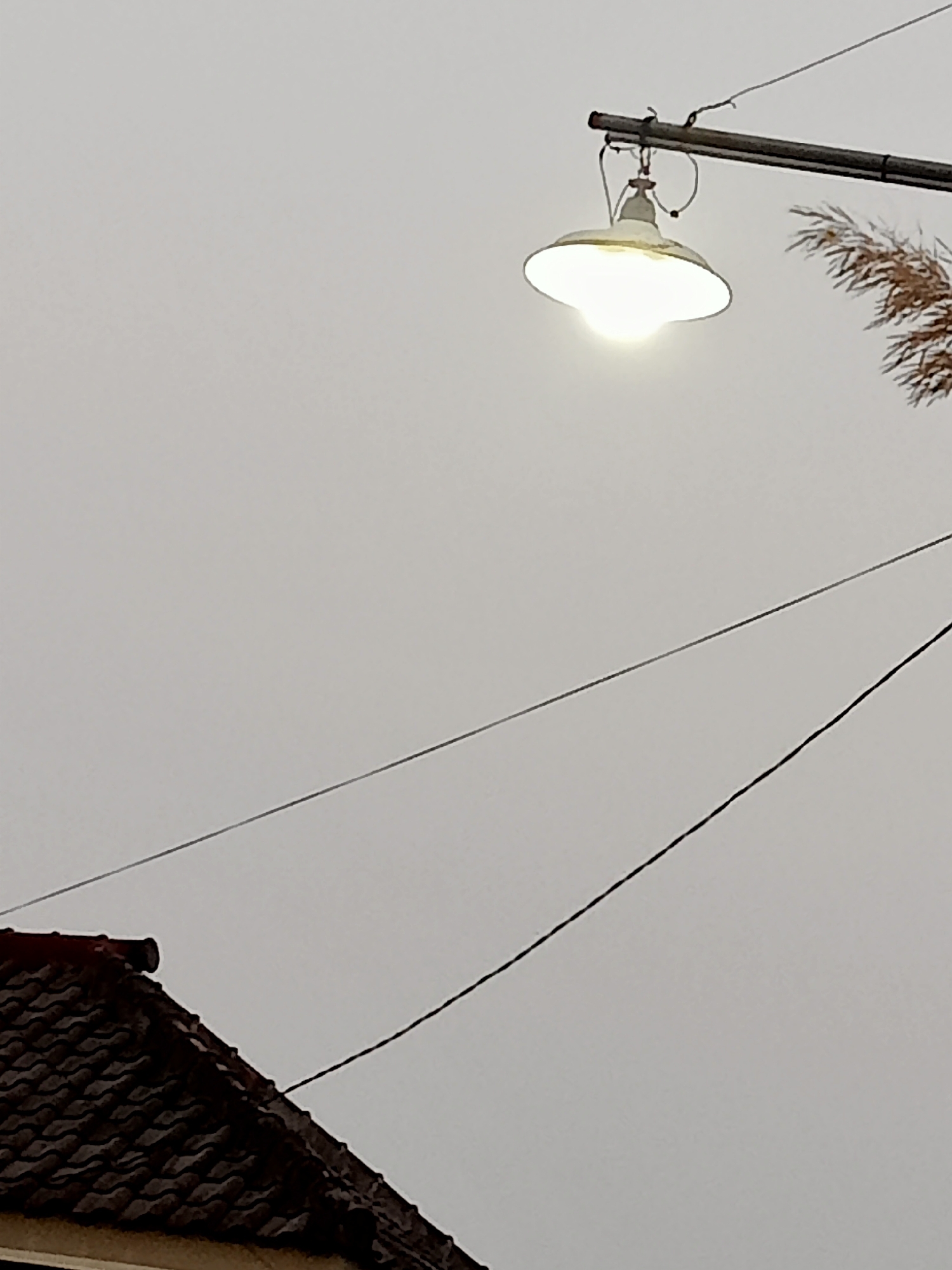 An outdoor scene with a cloudy sky. A streetlamp with a white, bowl-shaped shade and a lit bulb hangs from a pole. A dark, wavy tiled roof of a building is visible in the lower left corner. Two dark wires cross the frame diagonally against the sky. To the right of the streetlamp, a few dry, feathery stalks of a plant are visible. The image does not provide specific information about the city of Simo, Indonesia.
