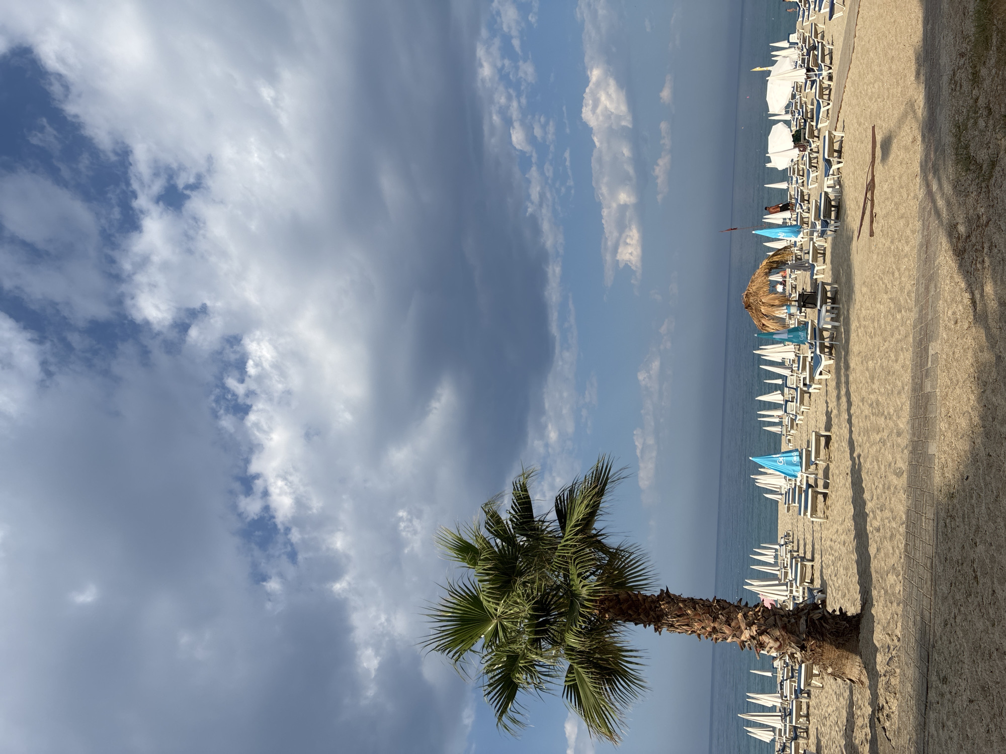 This is a vertical, medium-shot photograph taken from a beach in Alanya, Turkey, looking out towards the sea. A large palm tree with a rough, brown trunk and vibrant green fronds dominates the left side of the frame, casting a shadow onto the sand. The beach is covered in light-colored sand and is lined with numerous rows of white lounge chairs with blue cushions, and white beach umbrellas. A few turquoise umbrellas are also visible, including one in the foreground with a "GOLF GIGANT" logo. In the middle ground, a thatched-roof umbrella stands out, providing shade over a table. The calm sea is visible in the background, stretching to the horizon under a sky filled with dramatic, grey and white clouds against patches of blue. The lighting suggests it is daytime, possibly late afternoon given the length of the palm tree's shadow. The scene is tranquil, with no visible people in immediate proximity to the lounge chairs, though a few figures can be seen further down the beach. The overall impression is that of a well-maintained resort beach, ready for visitors.