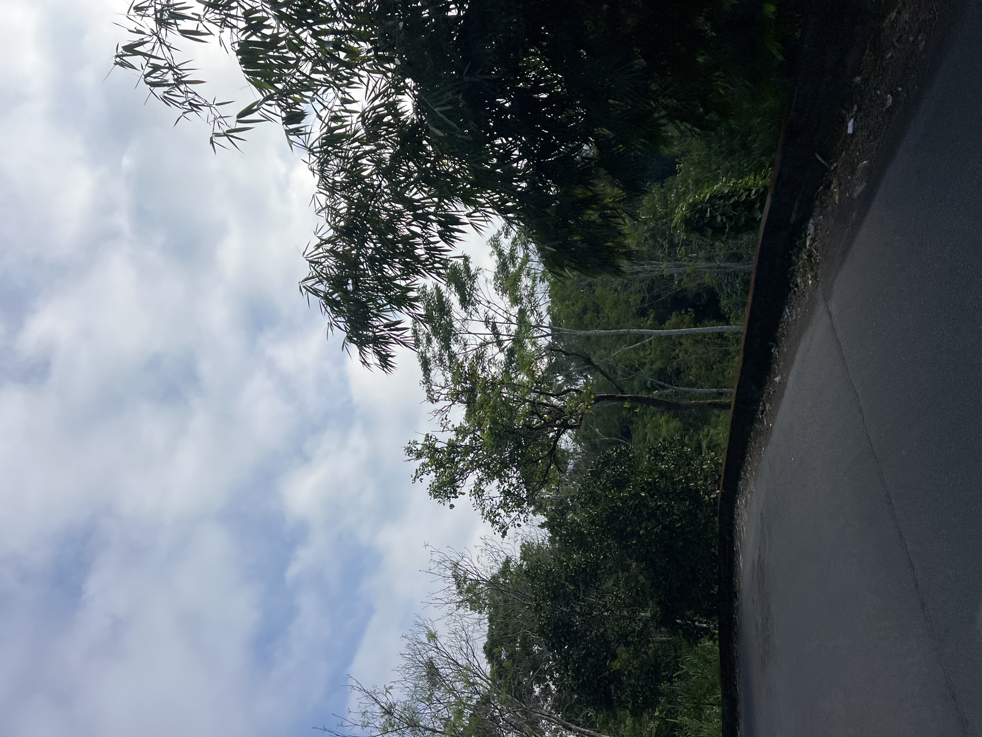 The image depicts a roadside view in Rendang, Indonesia. A paved road curves to the left in the foreground, bordered by a low, dark-colored retaining wall. Beyond the wall, lush green vegetation and trees dominate the landscape, with various types of trees, including bamboo, visible. The sky above is partly cloudy, with a mix of blue sky and white clouds. The overall scene suggests a rural or semi-rural setting with abundant natural greenery. No people are present in the image.
