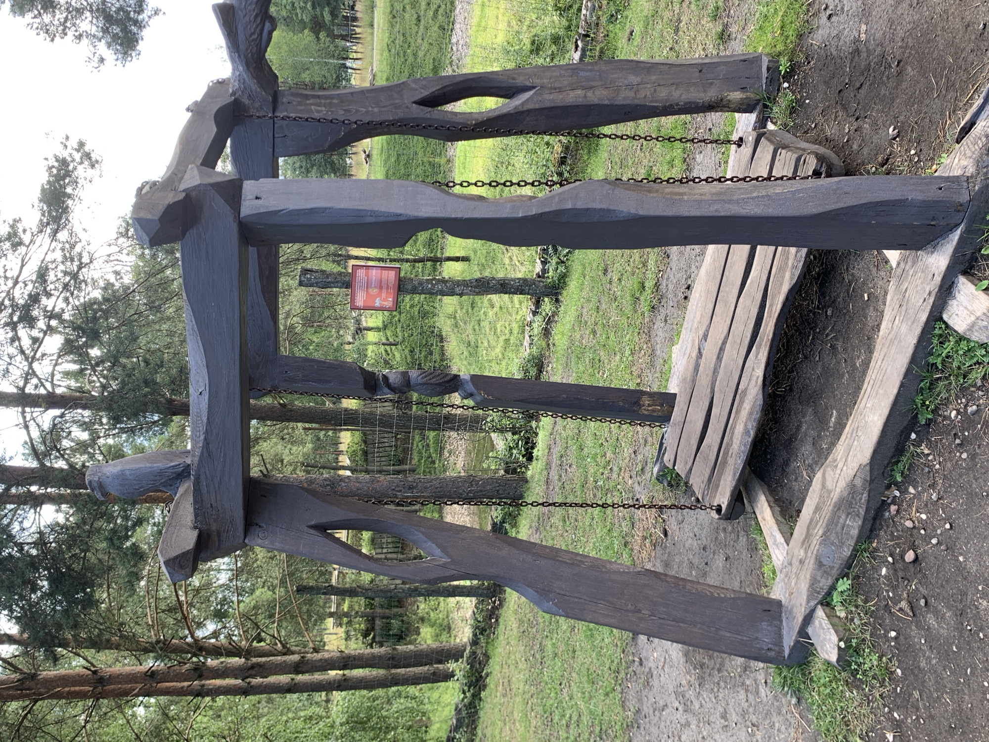 An outdoor, rustic swing set made of dark, rough-hewn wood stands in a grassy area with trees in the background. The swing set features a thick, horizontal beam supported by two angled, carved posts. A wooden seat hangs from the beam by two metal chains. A carved wooden bird sits atop the horizontal beam on the left side. A small, red sign with white text is attached to a post behind the swing set. The ground around the swing set is a mix of dirt and grass, with small pebbles scattered about. The overall impression is of a natural, somewhat primitive play structure. This image is not in Baranavichy, Belarus.