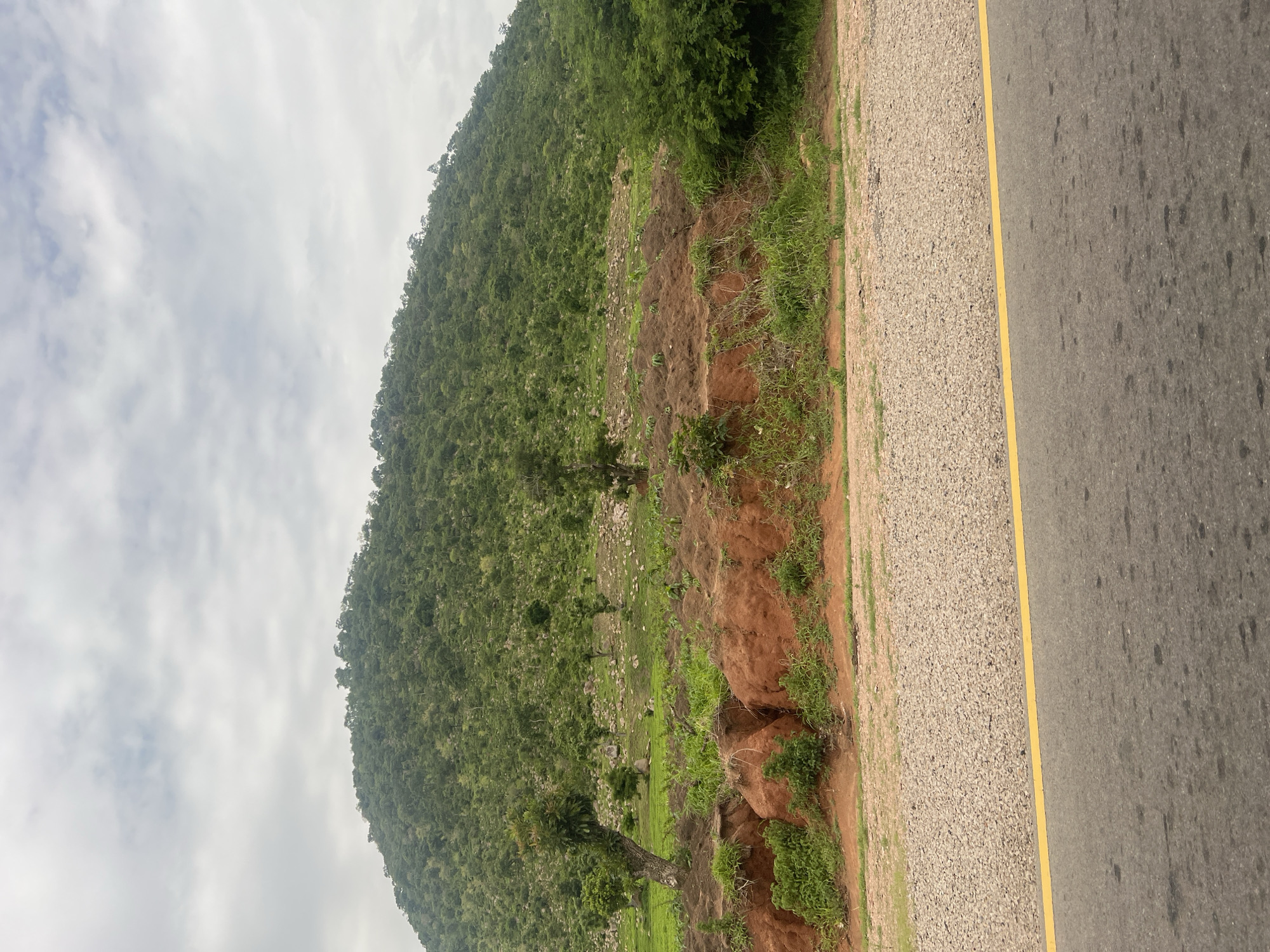 The image depicts a natural landscape with a focus on a verdant hillside leading up to a mountain. In the foreground, there is a paved road with a single yellow line dividing the lanes, bordered by a gravel shoulder. The hillside is characterized by reddish-brown earth in some areas, with sparse vegetation and a few scattered trees. Further up the slope, the terrain becomes more densely covered in green foliage and trees, extending to the summit. The sky is overcast with a thick layer of clouds. The scene suggests a rural or semi-rural environment, potentially on the outskirts of a settlement. The location is identified as Minda, Nigeria. There are no people or identifiable man-made structures other than the road. The overall impression is one of a natural, undeveloped landscape.