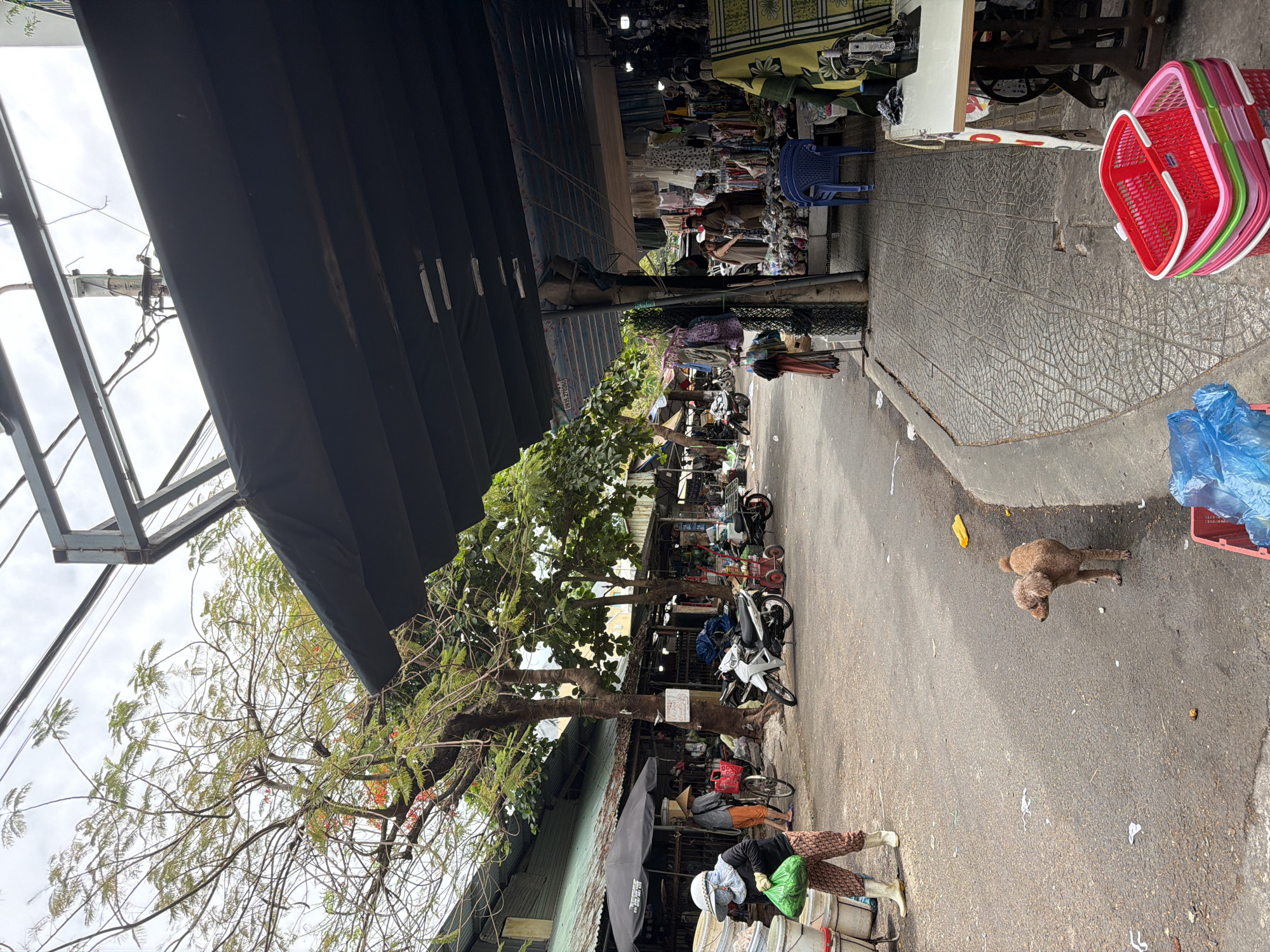 The image depicts a street scene in a market in Da Nang, Vietnam. A person wearing a hat and mask, holding a green bag, walks on the left side of a paved road. Next to them is a bicycle with a person in an orange shirt and a conical hat. Several motorcycles are parked on the street, with a white scooter in the foreground. A small, brown poodle stands on the asphalt. On the right side of the street, a stall displays clothing and various items, with a blue chair and a sewing machine visible. The market area is covered by a dark awning supported by metal poles. Trees with green foliage and some red flowers line the street, with electrical wires and a cloudy sky overhead. The overall scene suggests a bustling outdoor market environment.