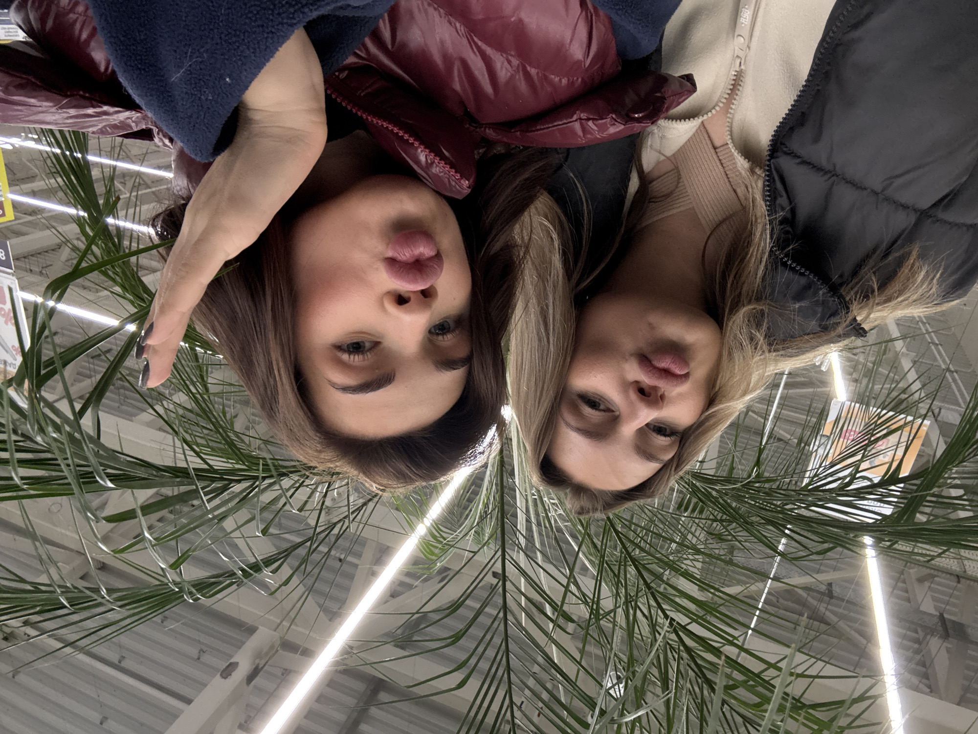 Two young women are featured in an overhead selfie, looking up towards the camera. The setting appears to be indoors, possibly a large retail store, garden center, or greenhouse, indicated by the extensive green palm-like fronds filling the foreground and background, and the industrial-style ceiling with bright fluorescent strip lights.
The woman on the left has dark brown hair and is wearing a burgundy puffer jacket over a dark blue long-sleeved top. She is making a playful "duck face" with puckered lips. Her left arm, covered by the blue sleeve, is visible reaching towards the camera. She has dark nail polish.
The woman on the right has lighter, possibly blonde or light brown hair, and is wearing a black puffer vest over a cream-colored fleece jacket, which is unzipped to reveal a beige ribbed top underneath. Her expression is more neutral or subtly smiling.
Overhead, the ceiling features a grey corrugated or slatted design with prominent, bright white linear lights running across it. On the left side of the frame, a white sign with yellow details is partially visible through the leaves, showing Cyrillic text "ДАЕТ" and the number "38". Another indistinct white sign can be seen further back on the right. The women's warm clothing suggests a cool indoor environment.