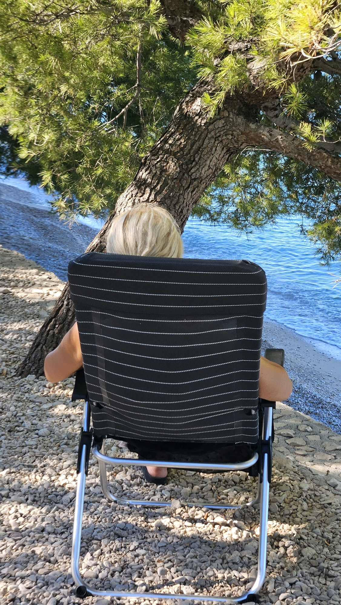 An over-the-shoulder, medium shot captures a person from behind, seated in a black and white striped folding chair. The individual, with short, blond hair, faces away from the camera, looking towards a calm, bright blue body of water that meets a light-colored pebble beach. Above and behind the person, a large tree trunk curves, its rough bark textured and its green pine needles creating a dappled shade effect. The ground is covered in small, grey and white pebbles. The scene is set in Općina Tučepi, Croatia, with the shoreline and water suggesting a coastal location.