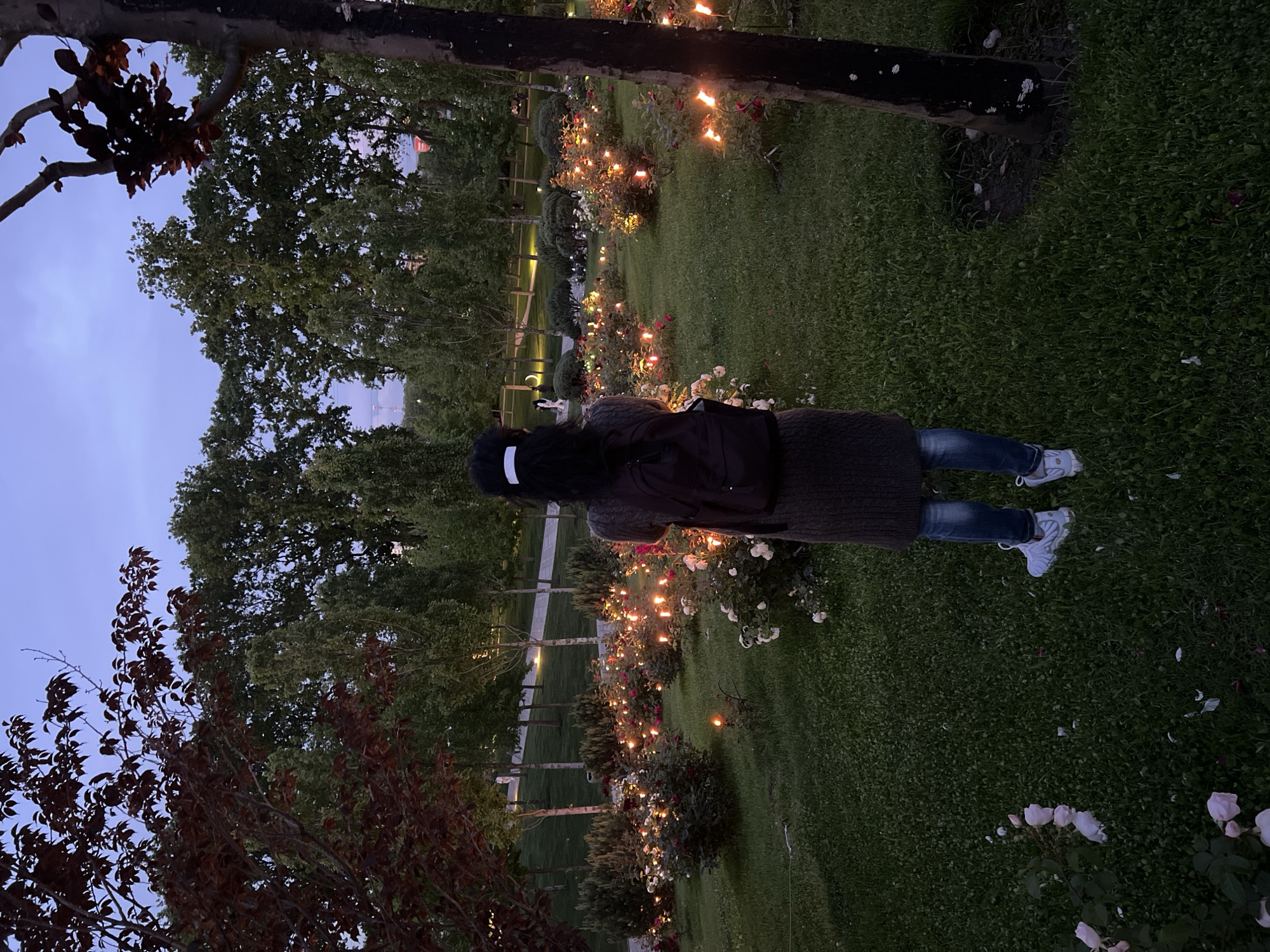 The image captures an evening scene in a beautifully illuminated garden in Krasnodar, Russia. A person is visible from behind, standing on a grassy area and looking forward into the garden. They have dark hair, wear a dark beanie or headband, a black backpack, a dark long-sleeved top or sweater, blue jeans, and white sneakers.
The garden is adorned with numerous rose bushes, intricately strung with small, warm-toned lights that glow softly, casting a gentle ambiance. These lights highlight the various roses, which appear to be in shades of white, pink, and deeper red or burgundy. Lush green grass covers the ground where the person stands and stretches throughout the visible areas of the garden. Several trees with dark and lighter green foliage are scattered across the landscape, reaching towards the twilight sky. The sky itself displays a soft transition of blue and purple hues, indicating dusk or early night. In the background, a paved pathway can be seen winding through the garden, lined with more trees and lit bushes. The overall setting is serene and enchanting, focusing on the illuminated flora and the tranquil atmosphere of the garden at night. There is no visible text in the image.