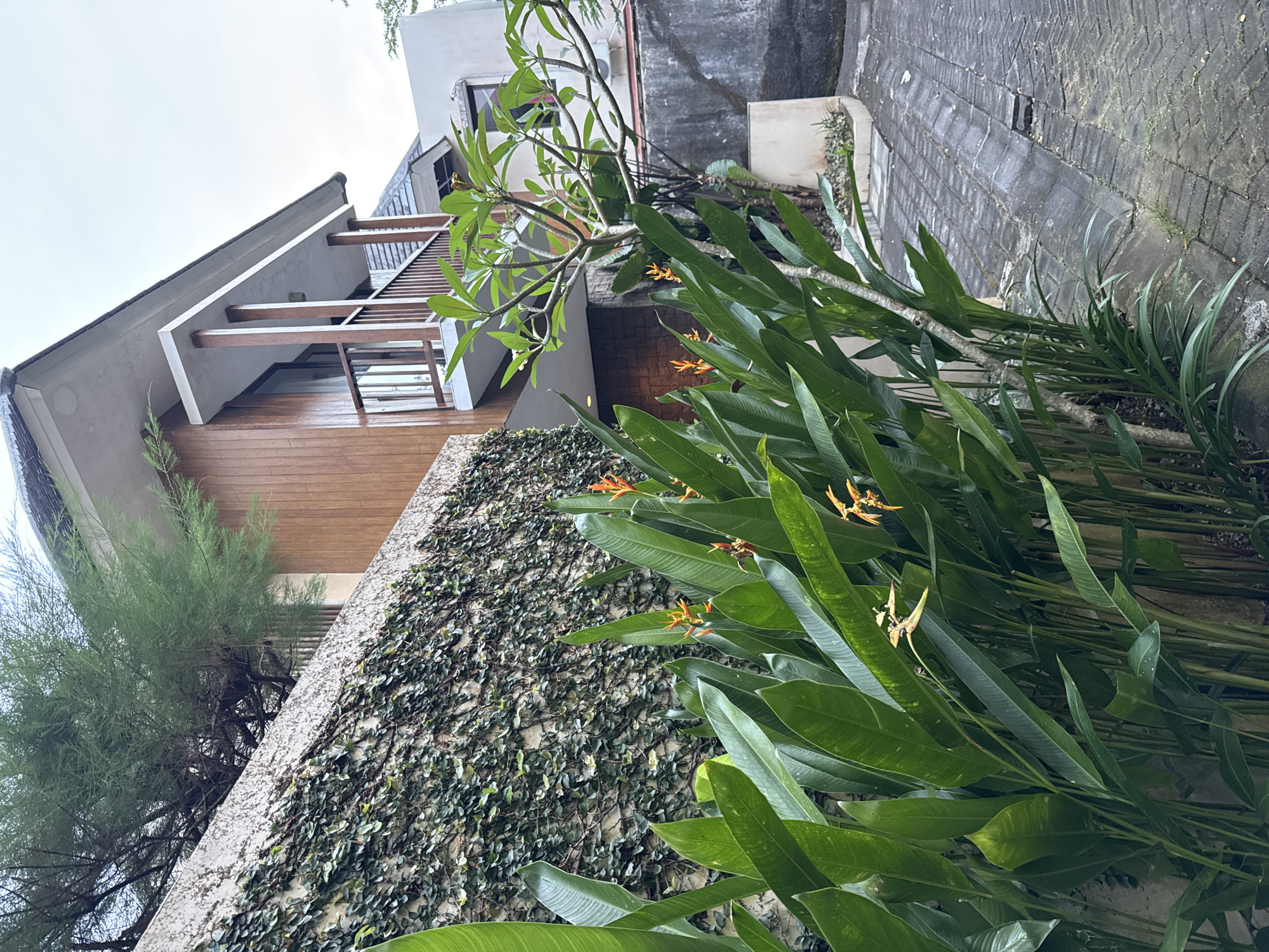 The scene is an exterior shot in Kuta Selatan, Indonesia, showing a modern house facade with architectural wood features and white concrete elements. A wall covered in ivy adjoins the house, creating a green backdrop. In the foreground, heliconia plants with orange blooms add a tropical feel to the setting. A tree with green leaves provides a partial canopy. The ground is paved with dark gray stones.