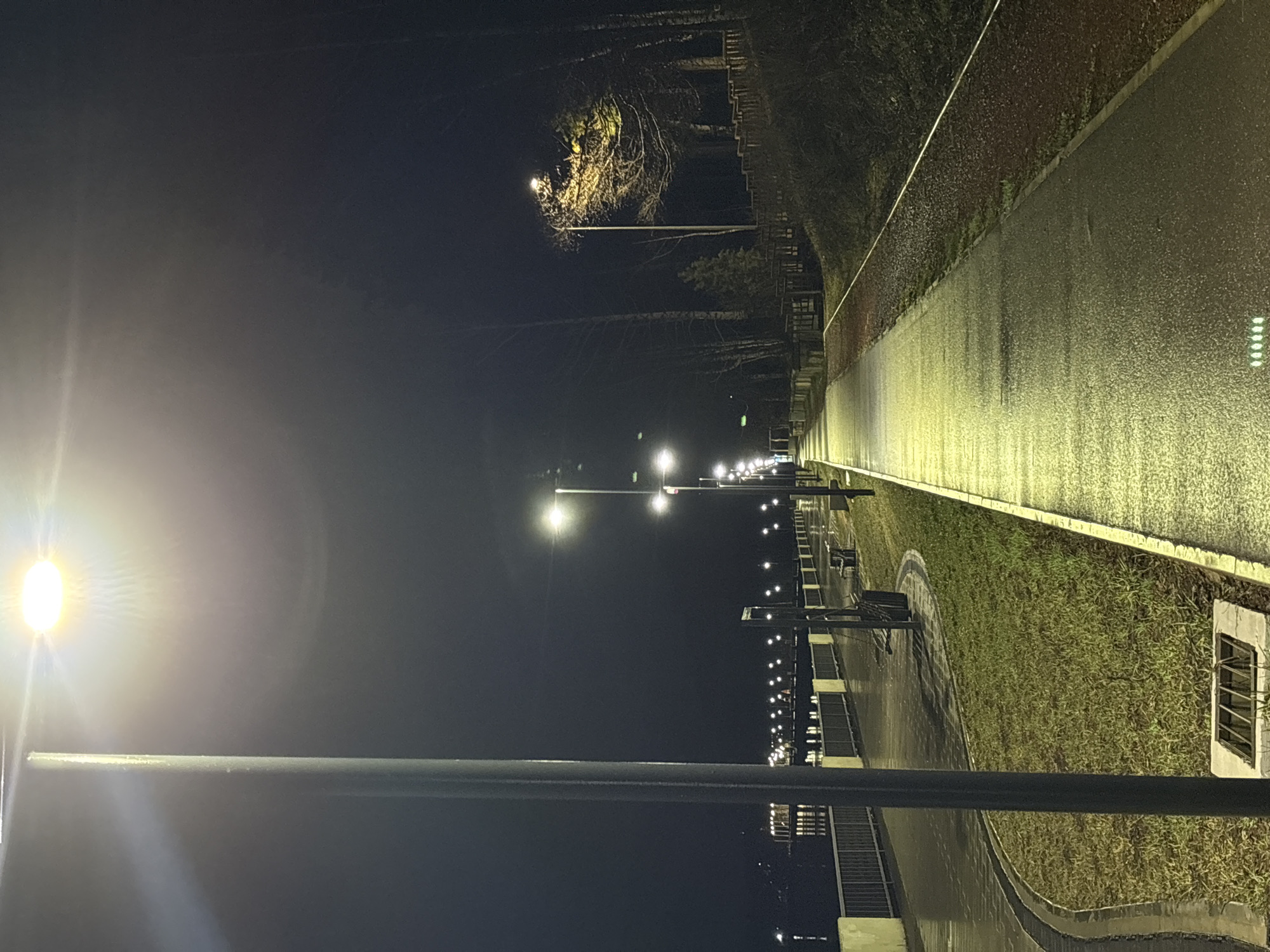 The image depicts a wet, illuminated walkway at night in what appears to be Chaikovsky, Russia. A row of streetlights casts a bright glow along the path, reflecting off the damp pavement. To the right of the walkway, there is a strip of grass bordered by a curb and trees. Benches are spaced along the walkway. On the left side, there's a low fence or railing. The sky is dark, with the lights creating a strong contrast. The focus is on the illuminated walkway.