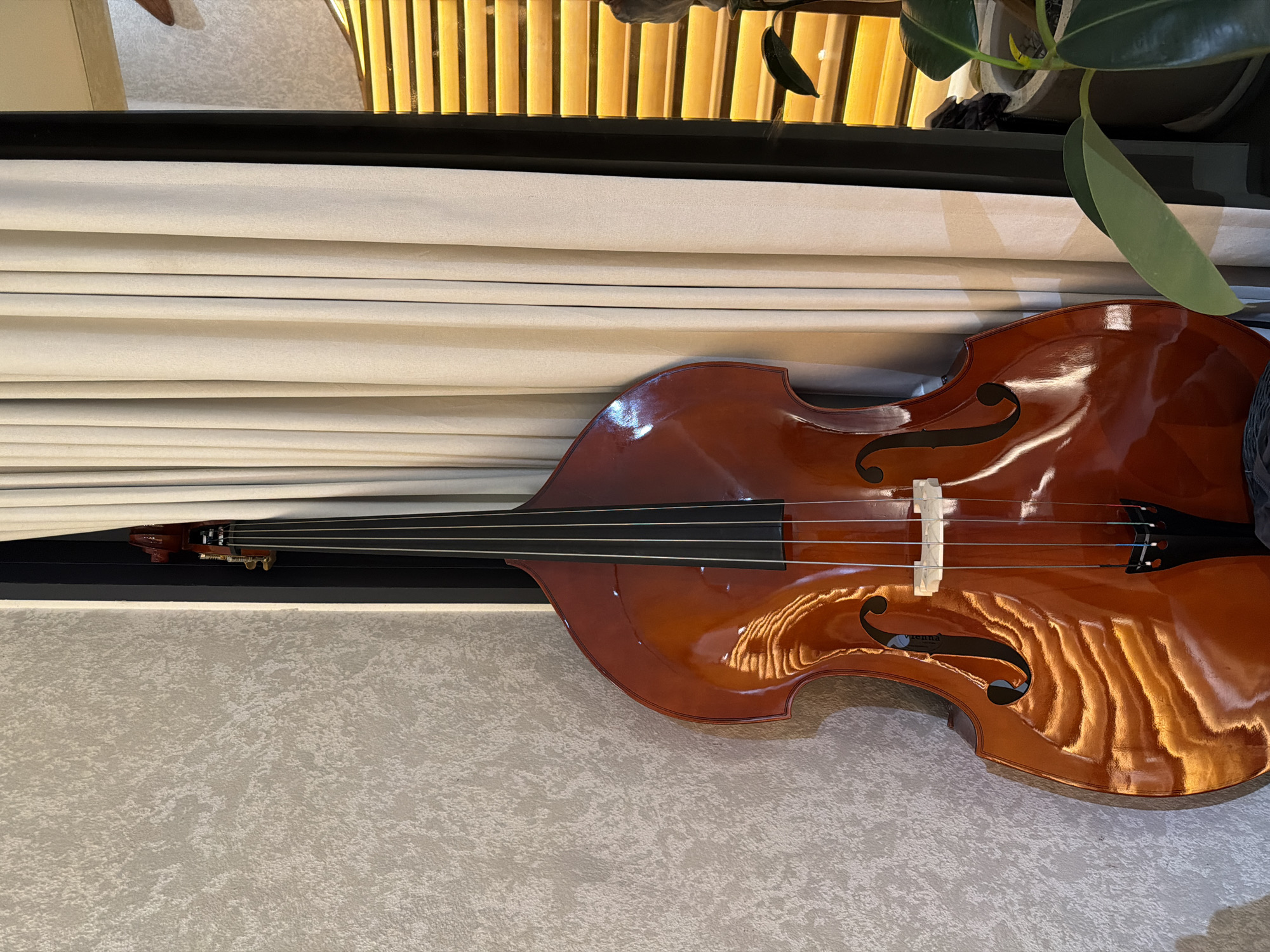 A shiny, reddish-brown double bass lies horizontally against a light gray, textured surface. The headstock of the instrument extends under white horizontal blinds. Behind the blinds, one can see vertical wood slats and a leafy green plant. The environment appears to be indoors. There is no information about the location in Kuta Selatan, Indonesia.