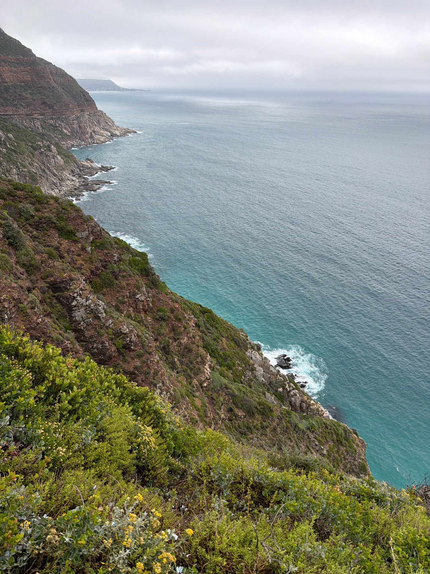 This image captures a dramatic coastal landscape near Hout Bay, South Africa, likely along Chapman's Peak Drive. The scene is dominated by a steep, rocky cliff face covered in dense green vegetation and small yellow flowers, descending sharply towards the ocean. The sea, a deep turquoise near the shore and transitioning to a more muted blue further out, is choppy with white waves crashing against the rocks at the base of the cliff. In the distance, the coastline curves away, revealing more rugged terrain and a hint of a road carved into the cliffside. The sky is overcast with a thick layer of gray clouds, casting a diffused light over the entire scene. There are no people or man-made structures visible in the immediate foreground or on the cliff itself. The overall impression is one of wild, natural beauty and the power of the ocean against the rugged land.