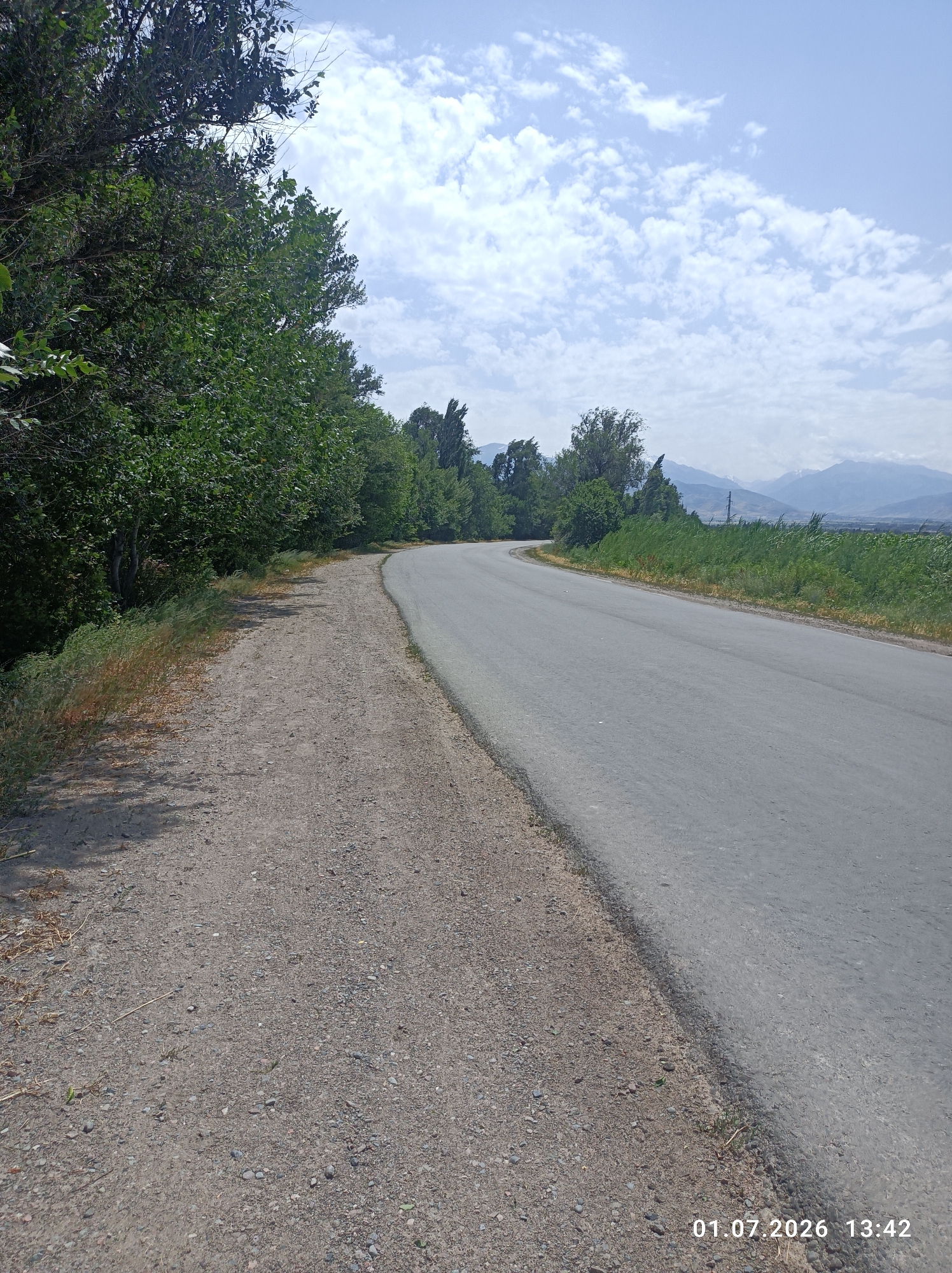 The image depicts a winding asphalt road bordered by a gravel shoulder on the left and a lush green field on the right. Tall trees line the left side of the road, casting shadows on the gravel path. In the distance, a vast expanse of green fields stretches towards a range of majestic mountains under a partly cloudy sky. A lone utility pole is visible in the middle distance. The scene conveys a sense of peaceful rural tranquility on a clear day. The time stamp at the bottom right corner indicates the image was taken on July 1, 2026, at 13:42, suggesting it is midday. The location is identified as Chüy, Kyrgyzstan.