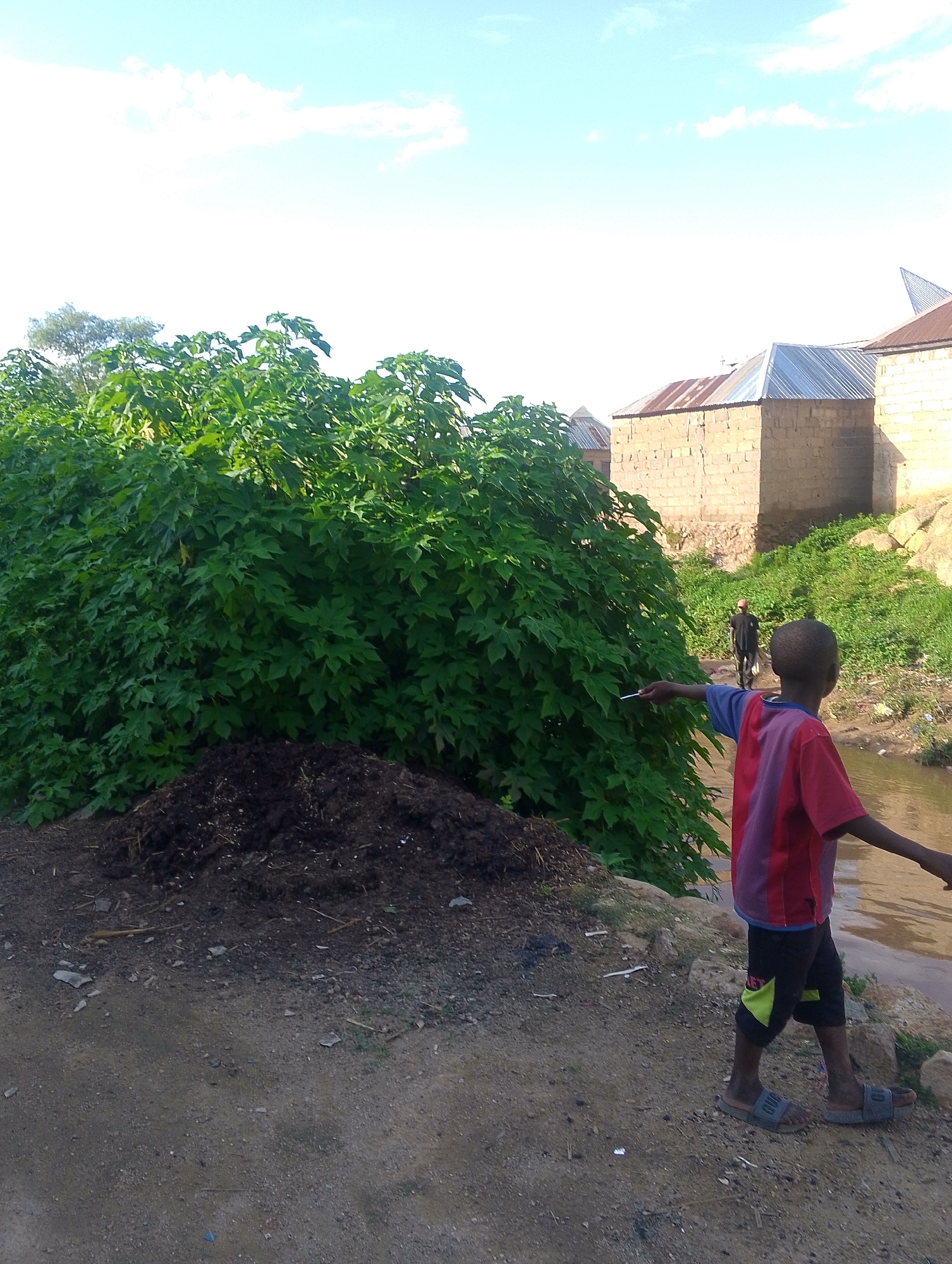 This image captures a scene in a rural or semi-urban area, potentially Jos, Nigeria, characterized by a naturalistic environment with signs of human habitation. In the foreground, a young boy with dark skin, wearing a red and purple t-shirt and black shorts with a yellow accent, walks along a dirt path next to a body of water. He is looking to his right and appears to be pointing with a small white object. To his left, a large, dense green bush dominates the mid-ground, with a pile of dark, composted material in front of it. Further in the background, several buildings constructed with light-colored bricks and corrugated metal roofs are visible. A second figure, dressed in dark clothing and a red cap, is walking away from the viewer on a path behind the bush. The sky is bright with scattered clouds, indicating daylight. The overall impression is one of a simple, lived-in environment, possibly on the outskirts of a community.