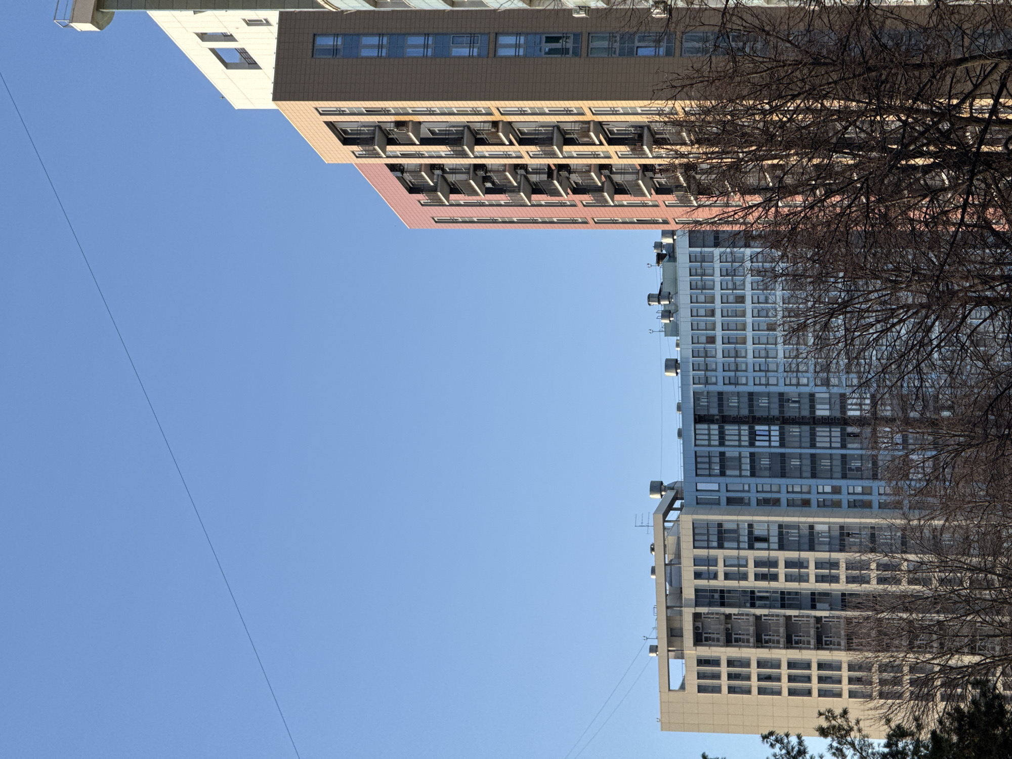 The image displays a clear daytime scene featuring multiple modern high-rise residential buildings in Perm, Russia, set against a cloudless blue sky. A single thin utility wire stretches diagonally across the upper portion of the sky. The lower foreground is occupied by the dense, intricate, and leafless branches of deciduous trees, indicating a dormant season.
Three primary multi-story buildings are visible. The structure on the far right presents a facade composed of reddish-brown and beige panel sections, incorporating numerous dark-framed windows and stacked, dark-railed balconies. To its immediate left, a second building features a facade with sections of pale yellow/light gray and light blue, both containing a grid of rectangular windows. Balconies are present on the pale section. Further left and slightly recessed, a third building exhibits a predominantly light blue facade with a dense pattern of windows. Rooftop mechanical installations are visible atop the structures. Direct sunlight illuminates the scene from the right, creating definition on the building surfaces. No individuals or specific activities are discernible within the frame.
These structures are identified as part of the "Dom na Lunacharskogo" (House on Lunacharskogo) residential complex, located in the Leninsky District of Perm, Russia, specifically in the vicinity of Lunacharskogo Street and Maxim Gorky Street.
