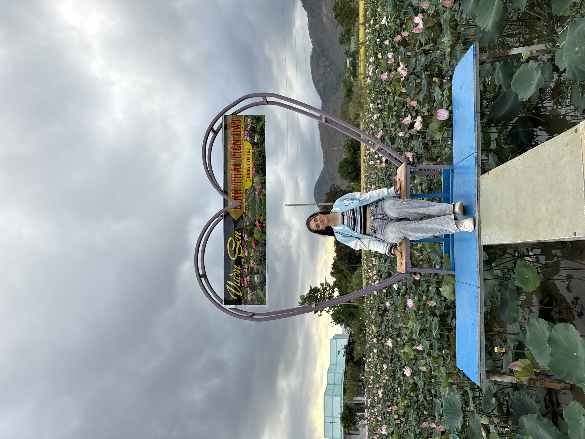 A young woman is seated on a blue structure within a lotus field at what appears to be the "Vuon Sen" tourist attraction, based on a sign visible in the background. The structure is built around a heart-shaped metal frame. She is wearing a light blue and white jacket, a striped top, and grey jeans. The lotus field is filled with pink lotus flowers and large green lotus leaves, many of which are in the water. The background includes a mountain range and a cloudy sky. This location is likely in Ham Thuan Bac, Vietnam based on the text on the sign.