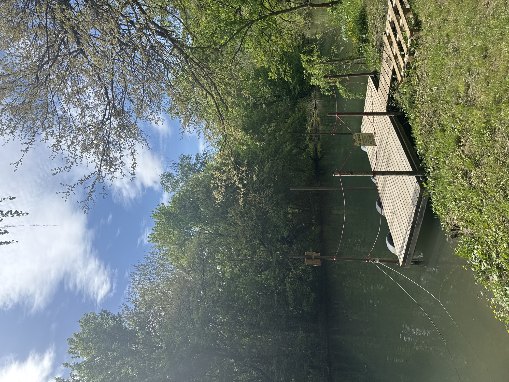 A wooden dock extends over a dark-green body of water. Four metal poles support the dock, and ropes are attached to the poles. A small sign is affixed to one of the poles. The dock is surrounded by green trees and grass. A blue sky with white clouds is visible above the trees. The dock appears to be in the city of Lukovit, Bulgaria.