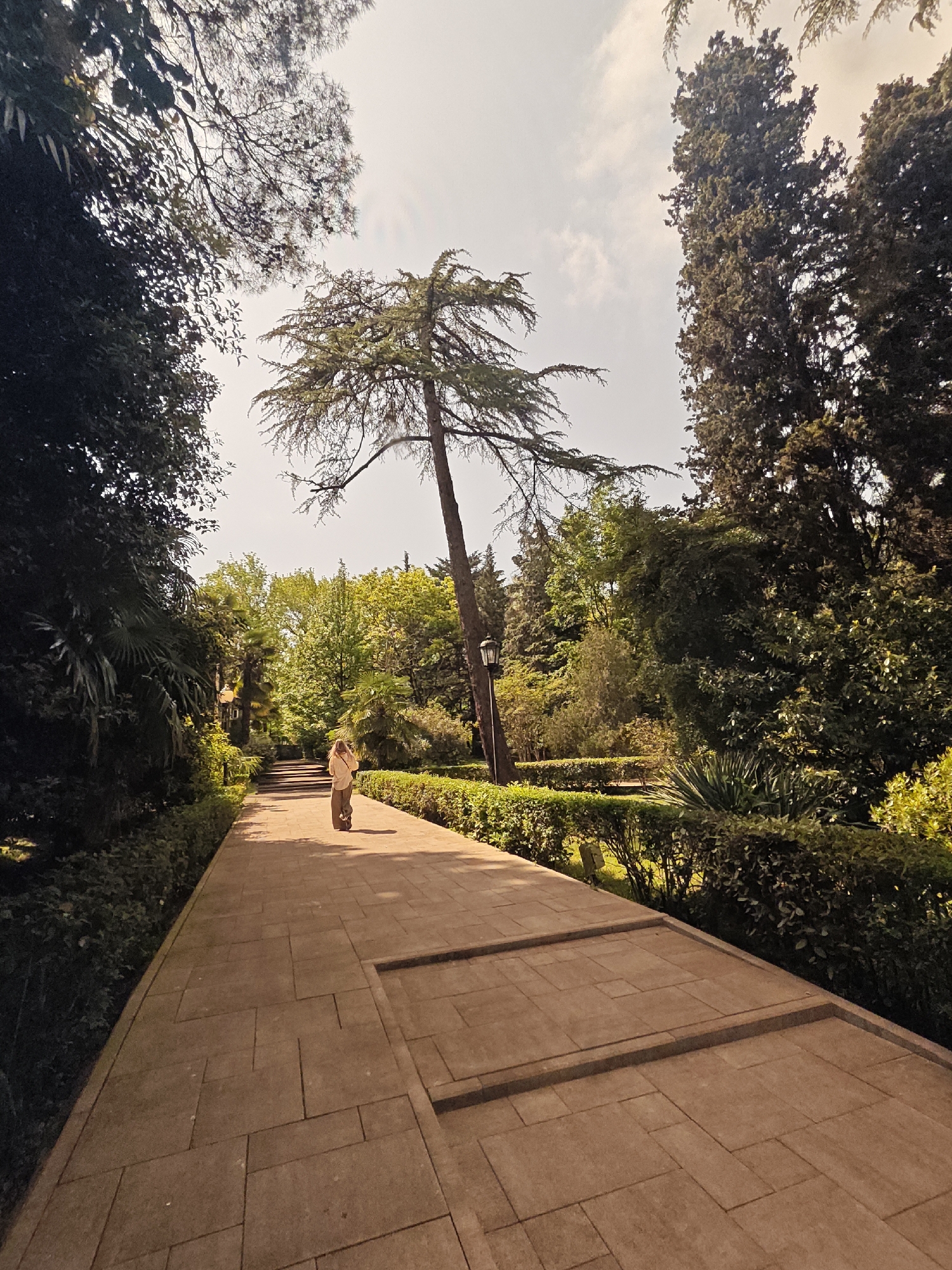 A woman walks down a path in a park-like setting. The path is constructed of rectangular stone blocks and has steps integrated into the design. The edges of the path are lined with trimmed hedges and various trees. A single, tall tree with a wide canopy stands out in the center of the scene. The sky is slightly overcast. The location is Sochi, Russia.