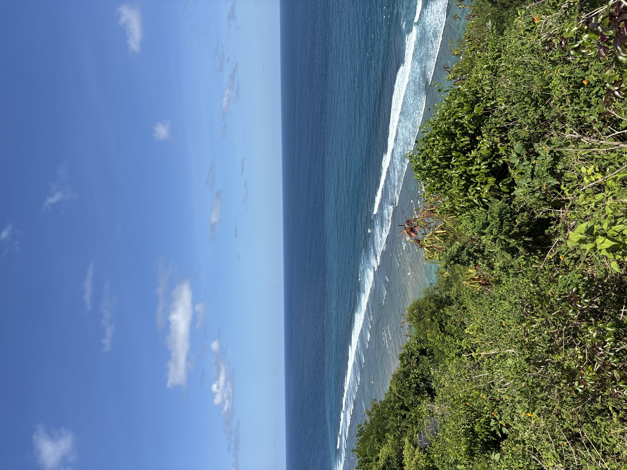 The image shows a view of the ocean and shoreline from an elevated vantage point. The ocean is a deep blue color, with white waves crashing along the shore. The sky is a light blue with scattered white clouds. Lush green vegetation covers the foreground and the right side of the image, suggesting a cliff or hillside.
The location is likely in Kuta Selatan, Indonesia, based on the landscape and vegetation, which are consistent with the region's coastal environment.