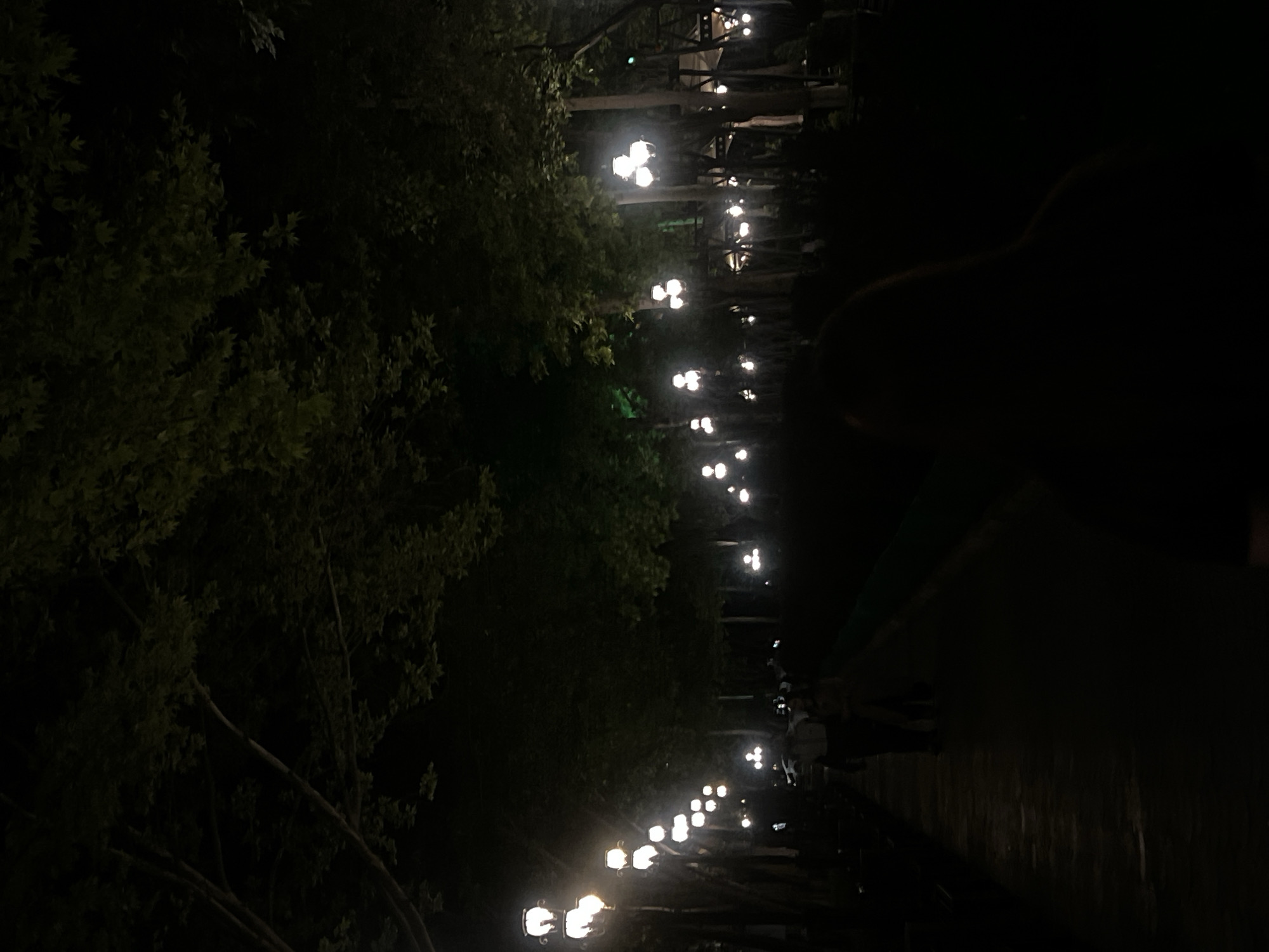 This is a nighttime shot taken in Yerevan, Armenia. The image shows a pathway lined with trees and lampposts, which create a tunnel-like effect with their lights. The trees are dense on the left, with their foliage obscuring much of the area behind them. The pathway itself is only partially visible due to the darkness. Some figures can be seen walking towards the end of the pathway in the distance. A dark, indistinct shape is present in the foreground on the right side of the image.