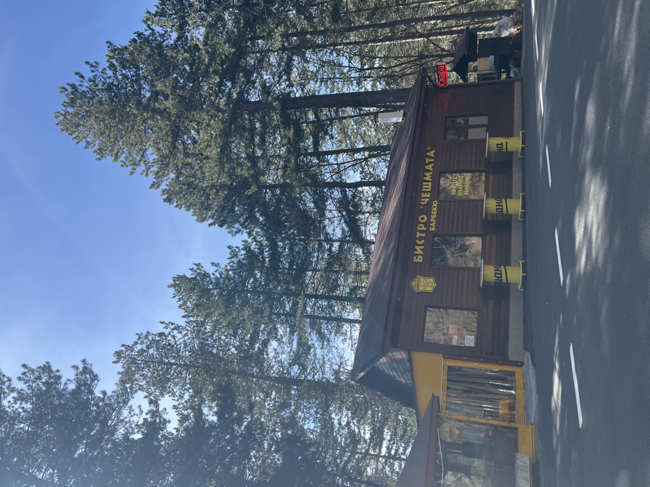 The scene is located in Chubrika, Bulgaria, depicting a commercial establishment identified as "БИСТРО "ЧЕШМАТА" БАРБЕКЮ" (Bistro "Cheshmata" Barbecue). The structure is a single-story building featuring dark brown horizontal wood paneling and a brown pitched roof with a white chimney. An extension with a yellow facade and an enclosed outdoor seating area with clear plastic walls is present on the left. The front exhibits multiple rectangular windows that reflect the surrounding environment. Three yellow cylindrical objects, each bearing the text "ШАНС" (Shans), are positioned below the windows. A red neon sign displaying "СКАРА" (Skara) is affixed to the right side of the building. The establishment is situated within a forest environment, with numerous tall coniferous trees densely populating the background and upper portions of the frame under a clear blue sky. A paved area with two white horizontal markings lies in the foreground. No individuals are visible.