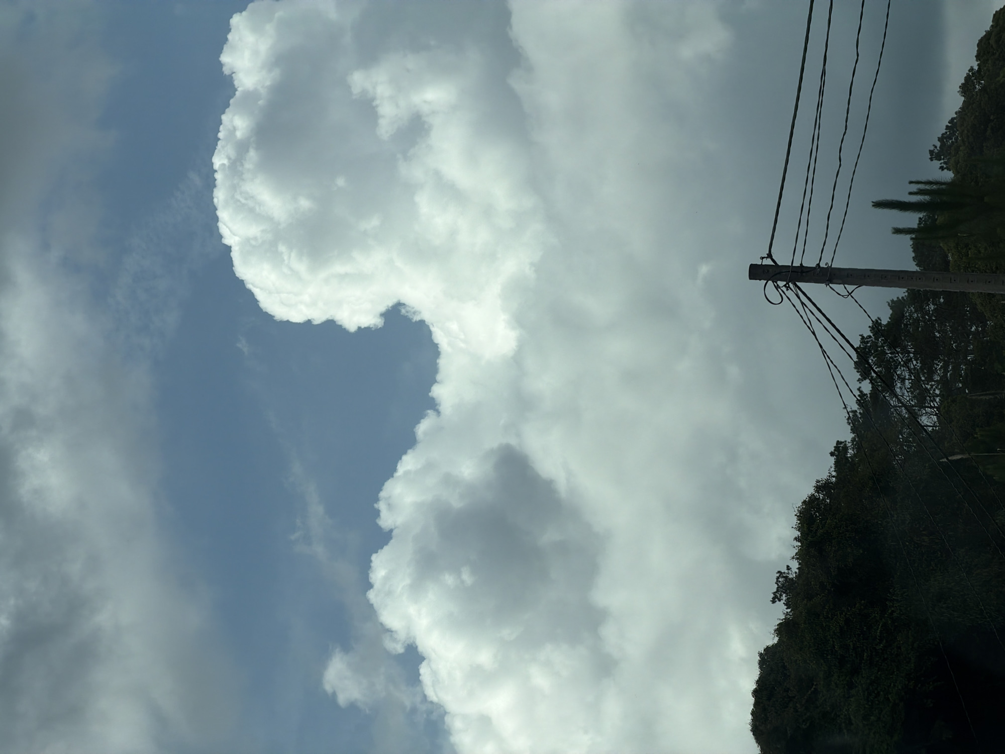 The image displays an expansive outdoor scene dominated by a dynamic sky. The upper two-thirds of the frame are filled with a mix of light blue sky and voluminous clouds. These clouds vary significantly in tone, ranging from bright white where sunlight illuminates their edges to darker shades of gray and shadow, indicating their substantial depth and density. Patches of clear, light blue sky are visible in various areas, particularly on the left side.
In the lower right section, a sturdy utility pole, possibly made of concrete or wood, stands vertically, extending upwards. Multiple dark electrical wires are strung from the pole, stretching horizontally across the frame against the backdrop of the sky and clouds. Below the pole and along the right edge, a dense mass of dark green foliage and trees forms a natural boundary, appearing almost silhouetted against the brighter sky. Taller, slender tree forms, possibly palm trees, can be faintly discerned behind the utility pole and wires.
The scene depicts daytime conditions, characterized by a blend of sunshine and significant cloud cover, suggesting either an approaching weather change or simply a majestic cloud formation. There are no people visible, and no specific activity or event is taking place. The presence of the utility pole and the lush, tropical-looking vegetation provides context for the location, aligning with the provided information that the image was taken in Măng Đen, Vietnam. No text is visible in the image.