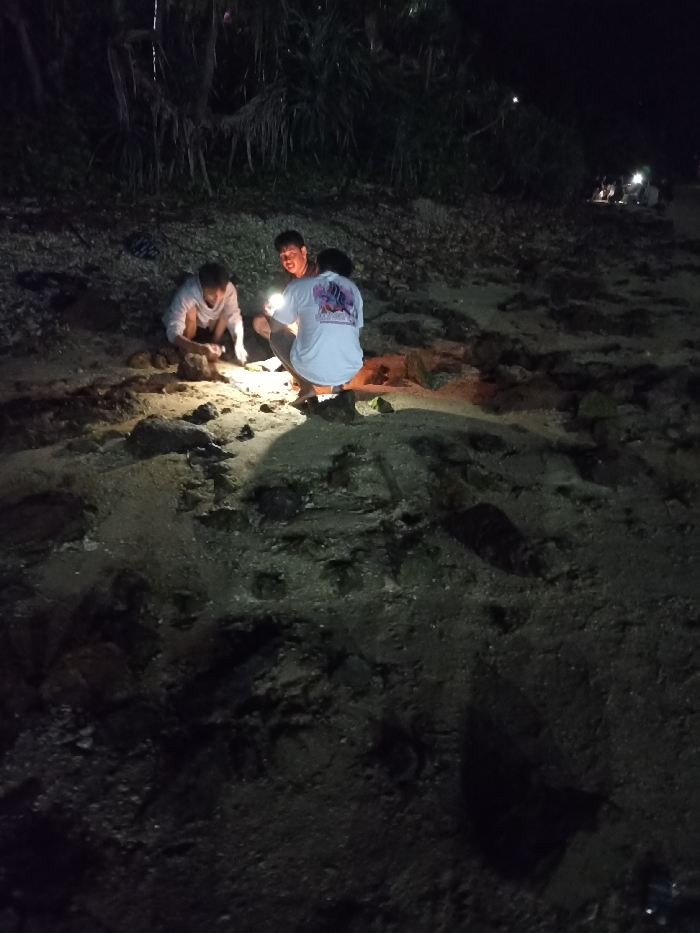 The image depicts a nighttime scene in what appears to be a natural, outdoor environment, likely a rocky beach or coastal area in Kecamatan Pujut, Indonesia. The time of day is clearly night, with darkness enveloping the background and the sky.
In the foreground, three individuals are captured, with their activity illuminated by artificial light sources. Two of the people are crouched down on the sandy and rocky ground, seemingly focused on an area directly in front of them. The person in the center, facing partially towards the camera, holds a bright light source, possibly a flashlight or a mobile phone, which casts a strong glow on the immediate surroundings and illuminates their smiling face. This individual is wearing a light-colored t-shirt with a colorful graphic design on the back, though specific text on it is largely unreadable due to the distance and lighting. To their left, another person in a white long-sleeved top is also crouched, looking downwards.
The ground is uneven, composed of dark rocks and lighter sand, with distinct shadows cast by the figures and rocks due to the direct light. In the upper background, dark, dense vegetation, possibly bushes or trees, is visible. Further to the right in the background, a cluster of faint lights suggests the presence of more people or activity at a greater distance. The scene conveys an activity of exploration or examination taking place outdoors after dark. No specific weather conditions are discernible.