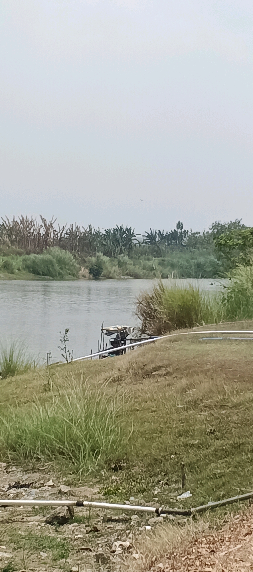 A vertical, eye-level, medium shot captures a riverbank in Parengan, Indonesia. The foreground is dominated by dry, brown grass with scattered debris and what appears to be irrigation pipes running horizontally. A river occupies the midground, its surface showing a slight ripple. On the riverbank to the right of the river, a small, dark object is visible, partially covered by a tarp, potentially a motor or pump, supported by wooden stakes. The background consists of lush green vegetation and trees, with a hazy, pale sky above. A single bird is visible in the distance. The scene appears to be a rural or agricultural area along a river.