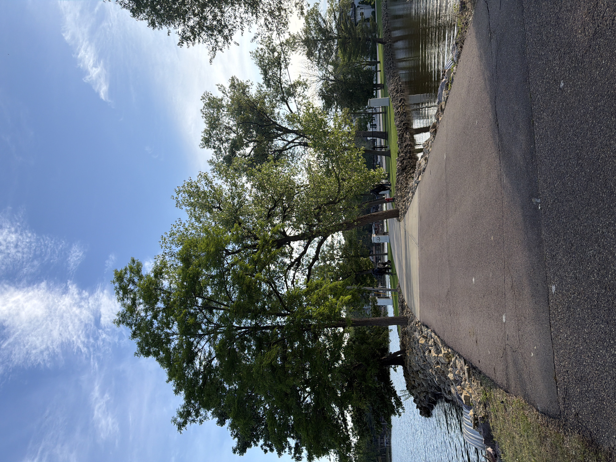A brightly lit outdoor scene captures a paved pathway running alongside Lake Delton in the United States. The sky is a vibrant blue with scattered, wispy white clouds across its expanse. Numerous large trees with lush green foliage stand prominently along the left side of the path and the lake's edge, some partially obscuring the sun, creating dappled light and shadows.
To the right, the calm waters of Lake Delton reflect the sky and sunlight, with small ripples visible on its surface. The lake's shoreline is lined with a rocky embankment, providing a natural barrier between the water and the land. A dark, asphalt path, showing some minor cracks, follows the contour of the lake.
In the mid-ground, small, indistinct figures, likely people, can be seen on the path, suggesting a leisurely walk or enjoyment of the lakeside environment. Across the lake, in the distant background, white buildings with dark roofs are visible, interspersed with green lawns and fences, indicating residential or recreational structures along the opposing shore.
The scene depicts a clear, sunny day, likely late morning or early afternoon, given the bright illumination and visible shadows. The overall impression is one of peaceful outdoor recreation. No visible text is present in the image.