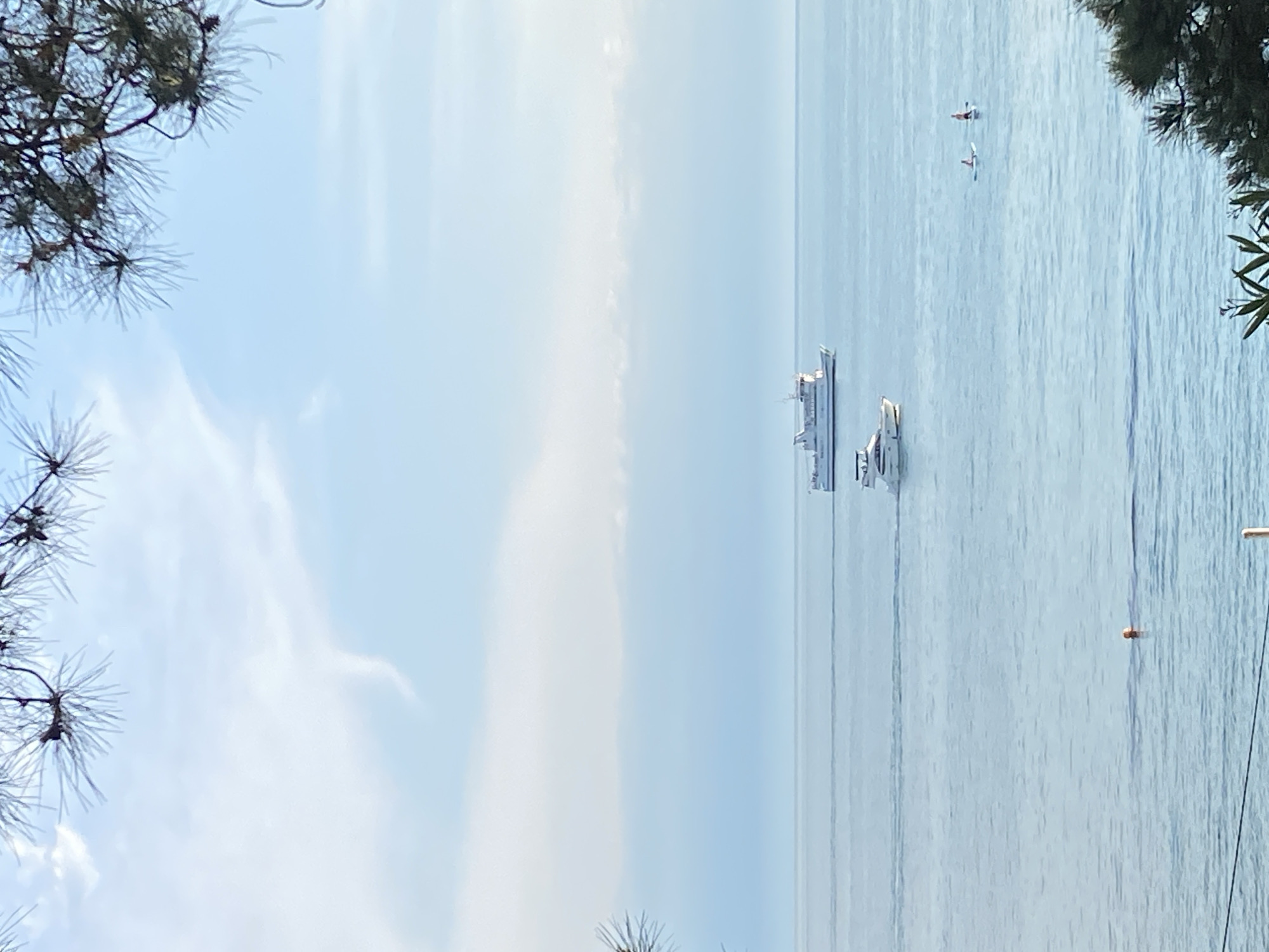 The image depicts a wide view of the Black Sea, likely from a coastal area in Sochi, Russia, given the presence of pine branches framing the top and right sides of the scene, characteristic of the region's flora. The sea is calm and a pale blue, meeting a hazy sky with soft white clouds.
In the distance, a large white ferry or cruise ship is visible, moving parallel to the coastline. Closer to the shore, a smaller white motor yacht is also sailing. Further to the right, two individuals are on paddleboards, appearing to be enjoying the water. A single orange buoy floats in the middle ground, indicating a marked area or perhaps a marker for swimmers. The overall atmosphere is serene and tranquil, suggesting a pleasant day with light maritime activity.