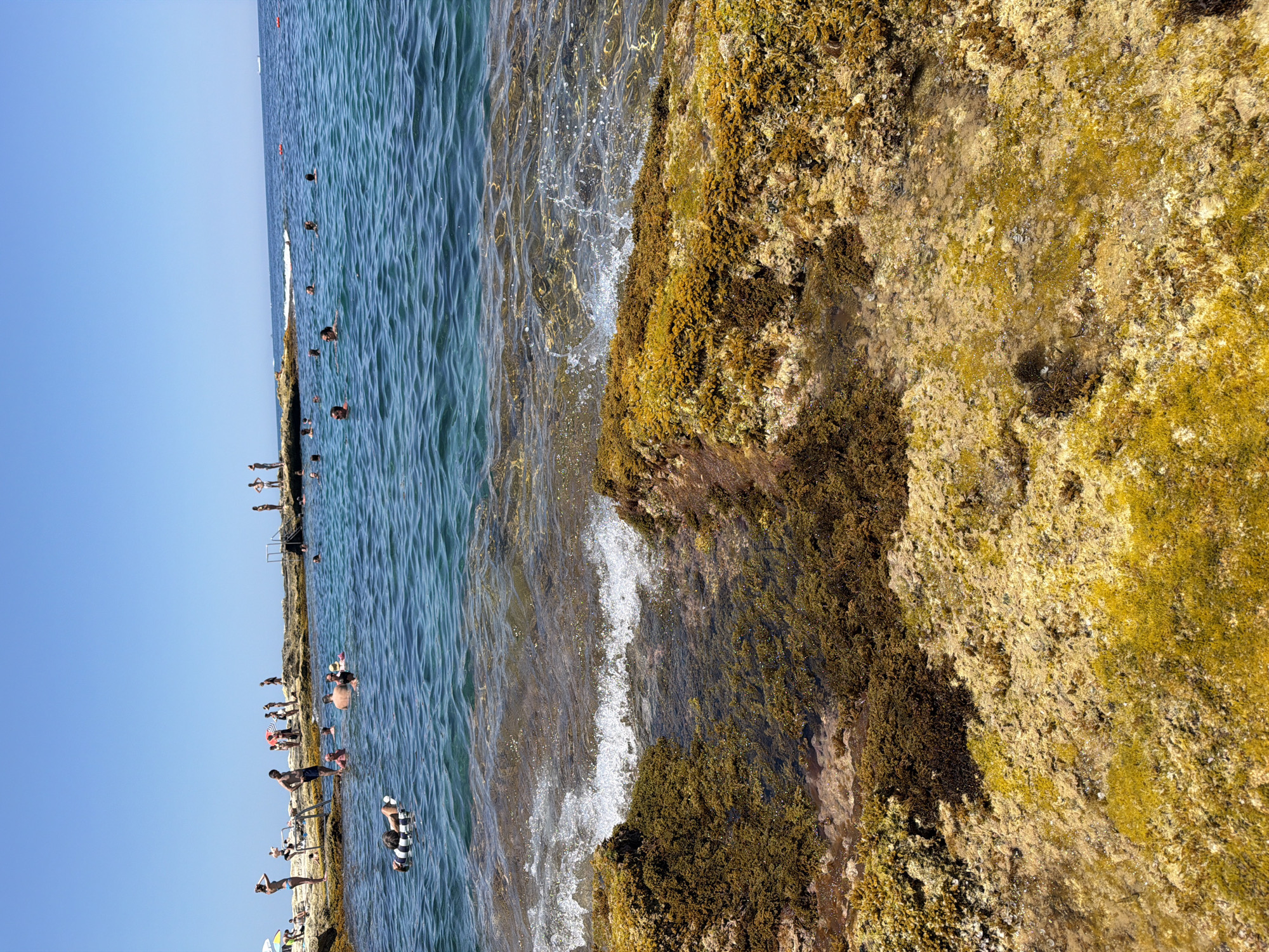 The image depicts a sunny day at a rocky coastline in Sliema, Malta. The foreground is dominated by moss-covered rocks and shallow pools of clear turquoise water. In the mid-ground, a group of people are swimming and wading in the sea. Some are standing on the rocks, while others are floating on inflatable rings or swimming freely. A person is seen lying on a black and white striped inflatable ring. The background shows the open sea under a clear blue sky, with a distant horizon and a few small boats. The overall scene is one of a popular tourist spot, with people enjoying recreational activities by the sea.