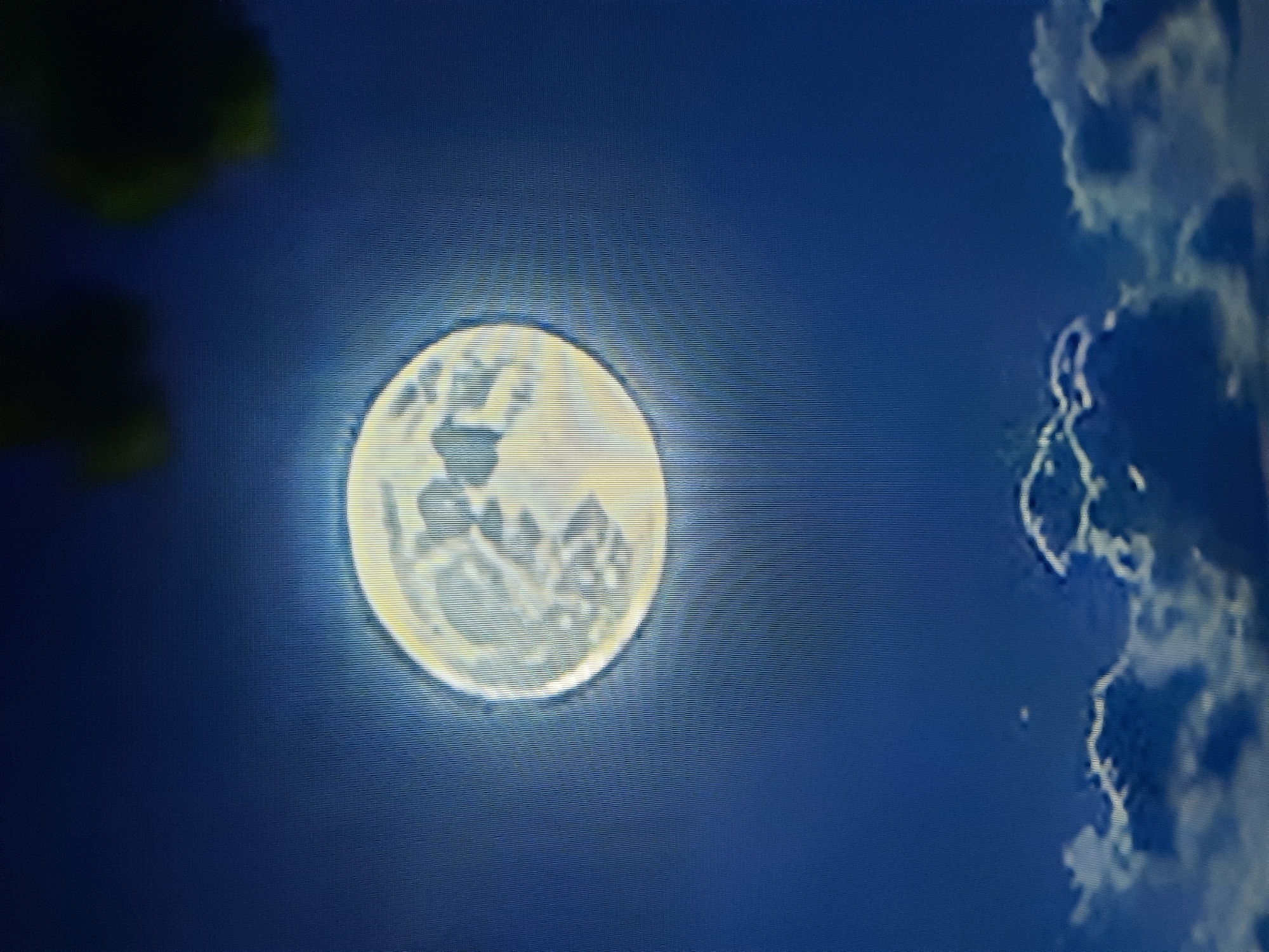 A full moon illuminates a deep blue night sky, with faint clouds drifting below. The moon's surface is detailed, showing craters and lunar seas. In the upper right corner, the dark, blurry shapes of tree branches are visible, suggesting the photograph was taken from a natural setting. There are no people or man-made structures immediately apparent in the image, and the location in Parachcha, Belarus, is not discernable from the visual information provided.