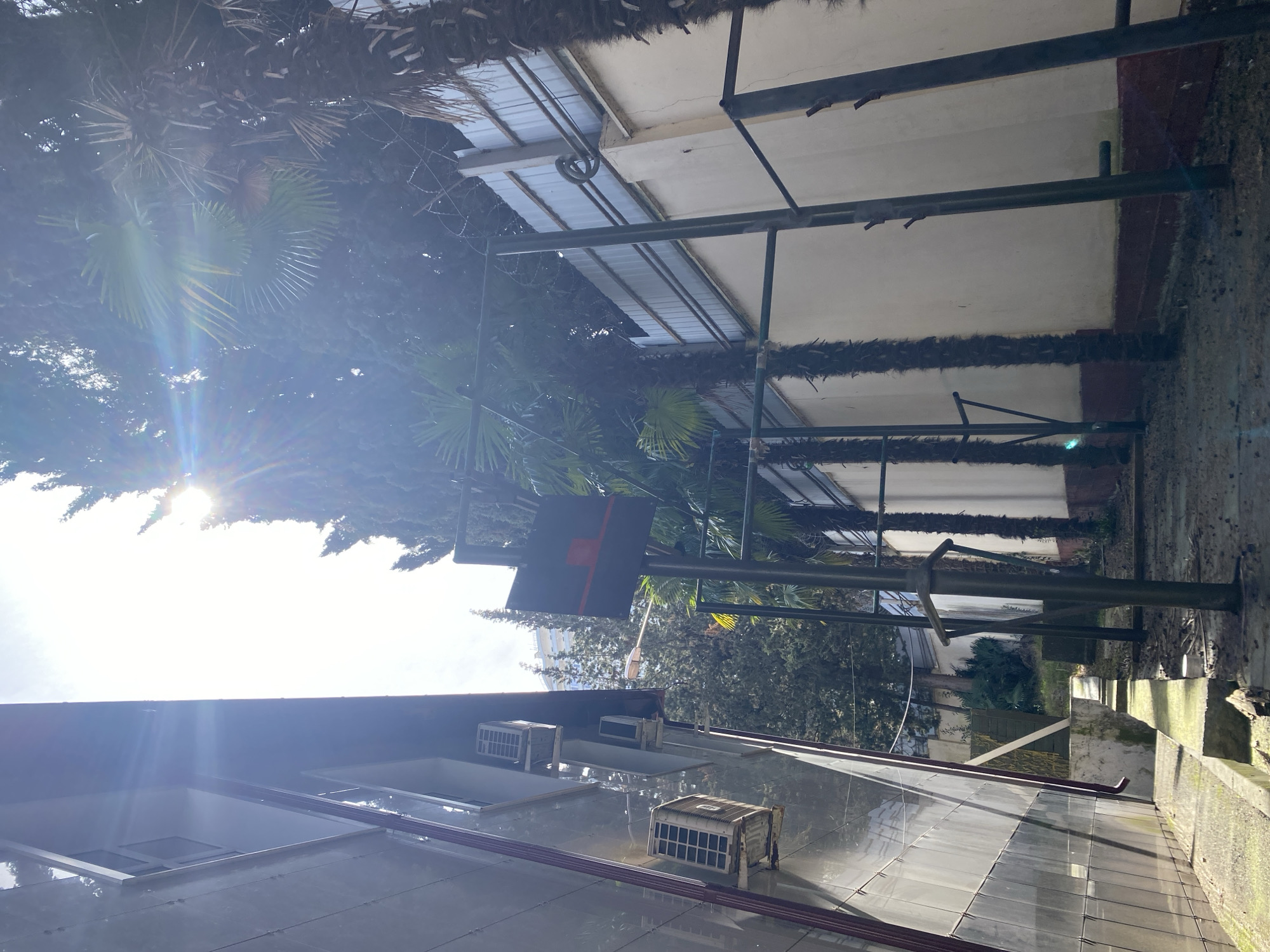 The image shows an outdoor scene, likely in a residential area of Sochi, Russia, based on the architecture and vegetation. The view is skewed due to the camera's orientation.
Foreground:
* A building with a reflective exterior, potentially glass or metal paneling, is visible.
* Several air conditioning units are attached to the building's exterior.
Midground:
* A metal structure (possibly scaffolding or a support framework) extends upwards.
* A dark, rectangular sign or object is affixed to the metal structure.
* Dense trees and vegetation are visible behind the structure.
Background:
* A taller building is partially visible in the distance, behind the trees.
* The sky is bright, with the sun visible, creating a lens flare effect.
* Palm trees and other lush vegetation are scattered throughout the scene, characteristic of Sochi's subtropical climate.
* A concrete structure is visible on the right side.