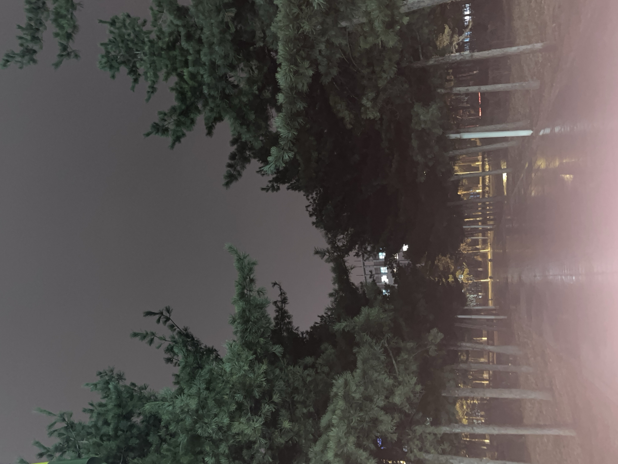The image shows a night scene in Changchun City, China. There are coniferous trees lining a road, likely a park or residential area. In the background, blurred lights suggest buildings. The road appears wet, reflecting the available light. No people are visible.