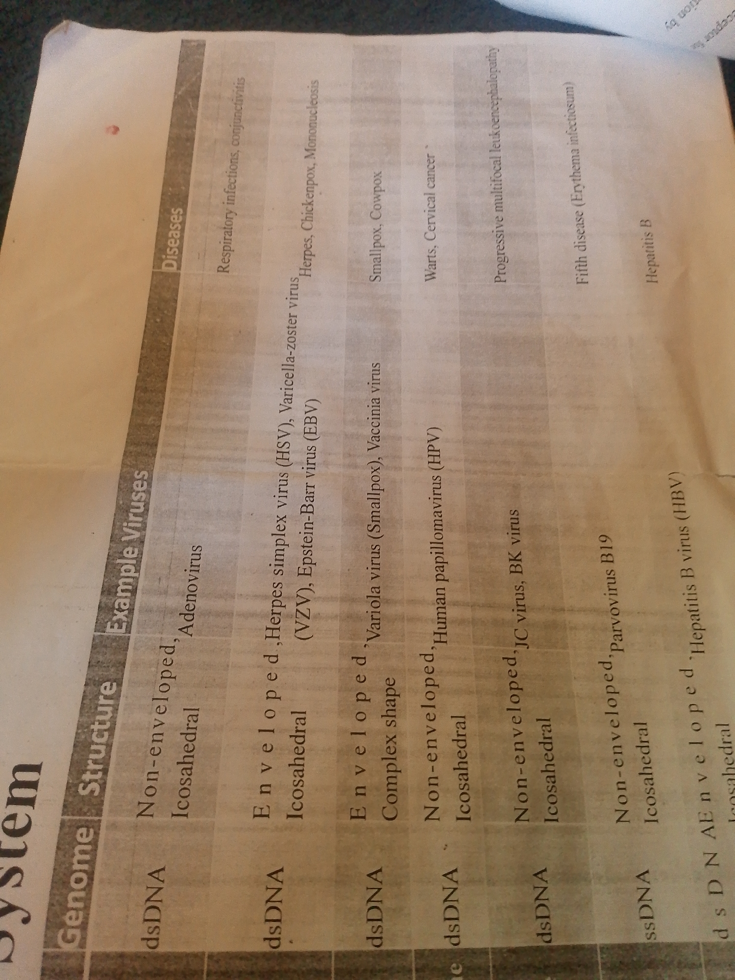 The image shows a close-up, overhead view of a document with a table. The table appears to be a chart of viruses, their structures, and the diseases they cause. The text is in English and is oriented such that it would be read from left to right, with the columns labeled "Genome," "Structure," "Example Viruses," and "Diseases." The rows list different types of viruses and their associated information.
The subjects in the image are the text and the paper it is printed on. There are no people, objects, or scenes in the traditional sense, as the focus is solely on the document. The setting is implied to be an indoor environment where such a document would be studied or stored. There are no visible time of day or weather cues. No emotions are conveyed.
Notable details include the specific viral names and diseases listed, such as Adenovirus, Herpes simplex virus, Variola virus, Human papillomavirus, JC virus, and Hepatitis B virus, with corresponding diseases like conjunctivitis, chickenpox, smallpox, warts, and hepatitis. The structure of the viruses is also detailed as either "Non-enveloped" or "Enveloped," with specific shapes like "Icosahedral" or "Complex shape." The document appears to be slightly creased and aged, with some faint vertical lines running through it, possibly from the printing process or the paper itself. There is a small red mark on the upper left side of the paper. The text is clear enough to be read, indicating the document is likely a study guide or reference material.