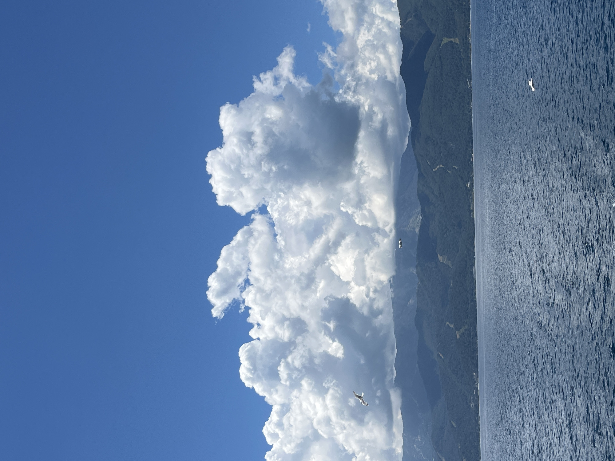 This is a vertical, eye-level, medium shot of a body of water with a mountainous coastline in the background under a bright blue sky dotted with dramatic white clouds. The water in the foreground is deep blue with visible ripples, suggesting a slight chop. Three white birds are visible in flight: one to the left of a large cloud formation, one to the right of a similar cloud formation, and one closer to the water in the lower right of the frame. The mountainous coastline is covered in dark green foliage, with visible lighter green patches that appear to be ski slopes or hiking trails. The sky is a vibrant blue, with large, puffy white cumulus clouds dominating the upper half of the image, casting shadows on themselves. The scene evokes a sense of vastness and natural beauty, possibly depicting a summer day on the coast of Thassos, Greece, given the characteristic blue waters, mountainous terrain, and clear skies. There are no people visible in the frame.