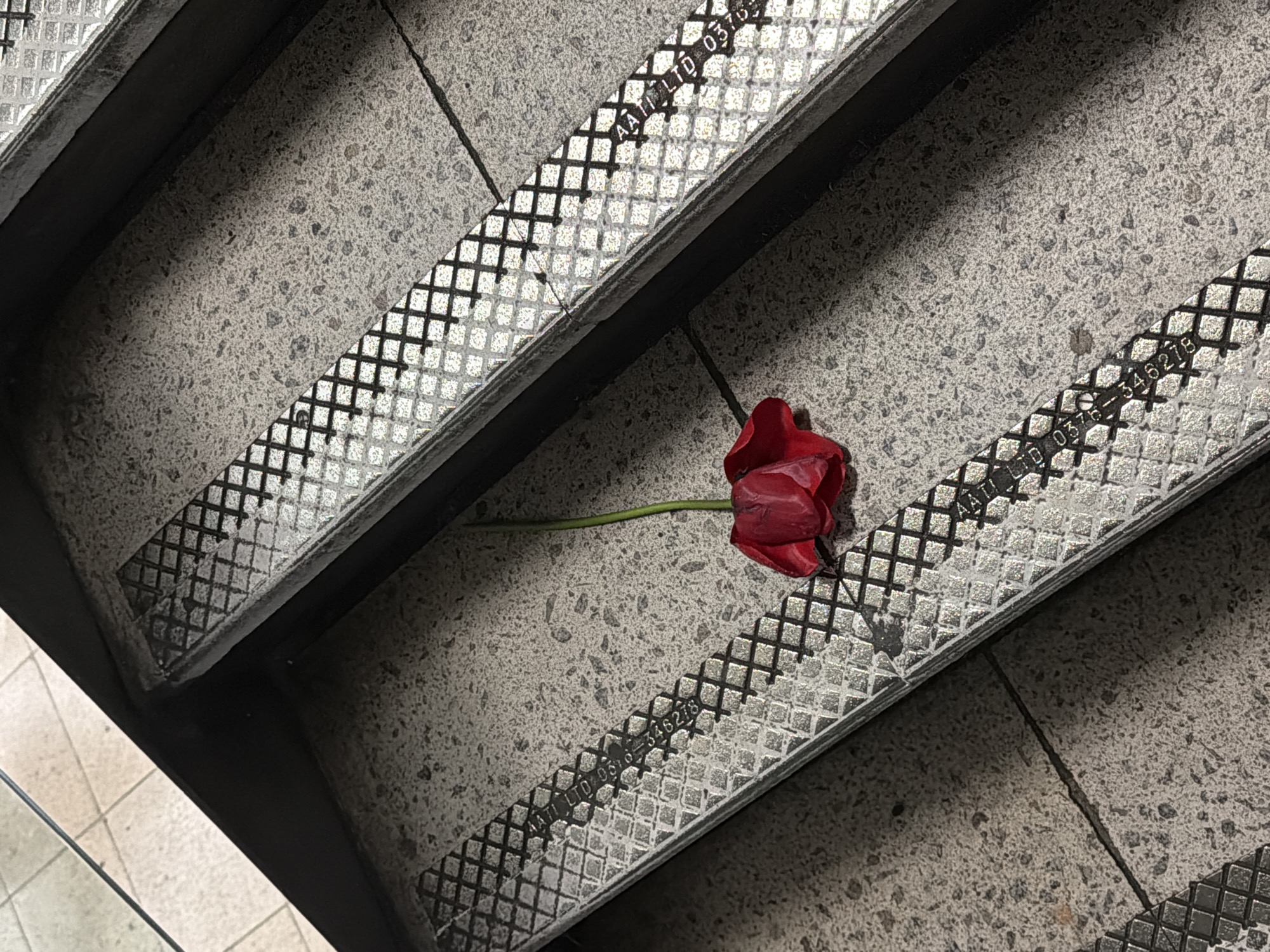 The image depicts a red flower, possibly a rose, lying on a grey concrete staircase. The staircase has metal edges with a checkered pattern and numbers/letters (AATI LTD 0376-346278) imprinted on them. The steps are worn and show signs of use. The image is likely taken indoors, possibly in a subway station or similar public space. The location is potentially in the city of London, United Kingdom.
