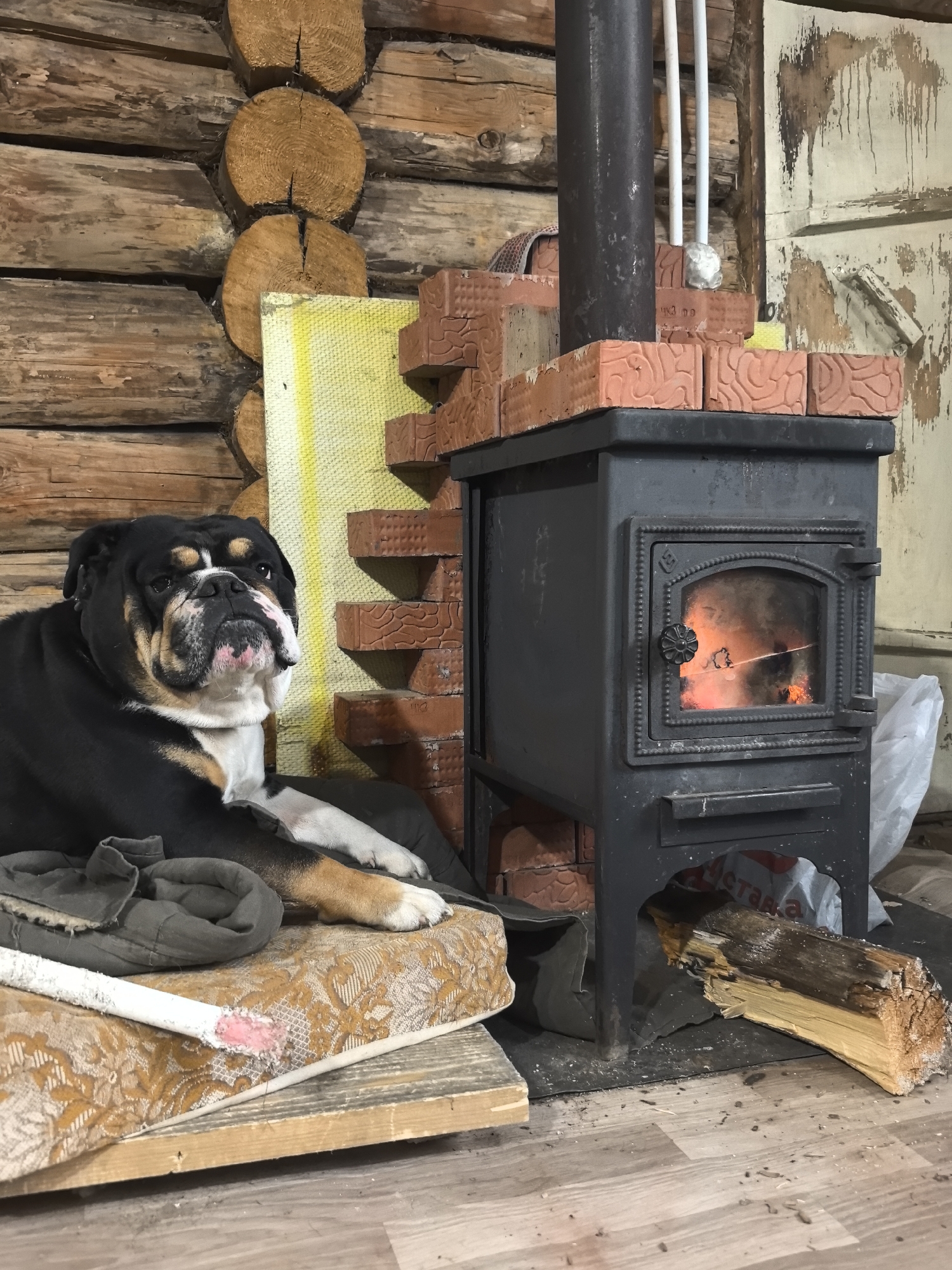 The image depicts an interior scene in what appears to be a log cabin. A black and tan Bulldog is prominently featured, resting on a worn cushion or mattress placed on wooden planks. Next to the dog is a wood-burning stove, its metal body sitting atop brick supports. A fire is visible inside the stove. A metal chimney pipe extends upwards. Logs of wood are placed near the stove on the floor. The background includes a log wall, a patched section of the wall with brick, and the corner of the log cabin. The image may have been taken near the city of Noviy, Russia, given its rustic elements.